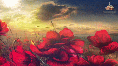 (Every boy's dream.)