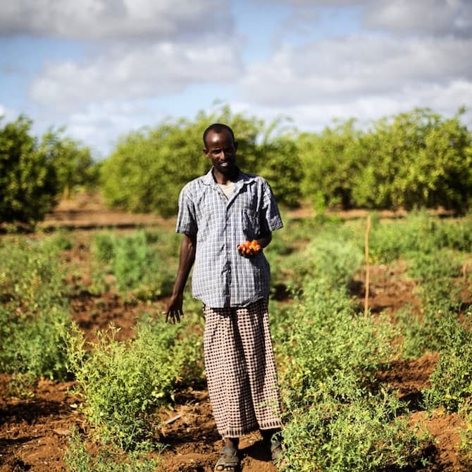 A slushy wave off the coast of Nantucket, in Massachusetts