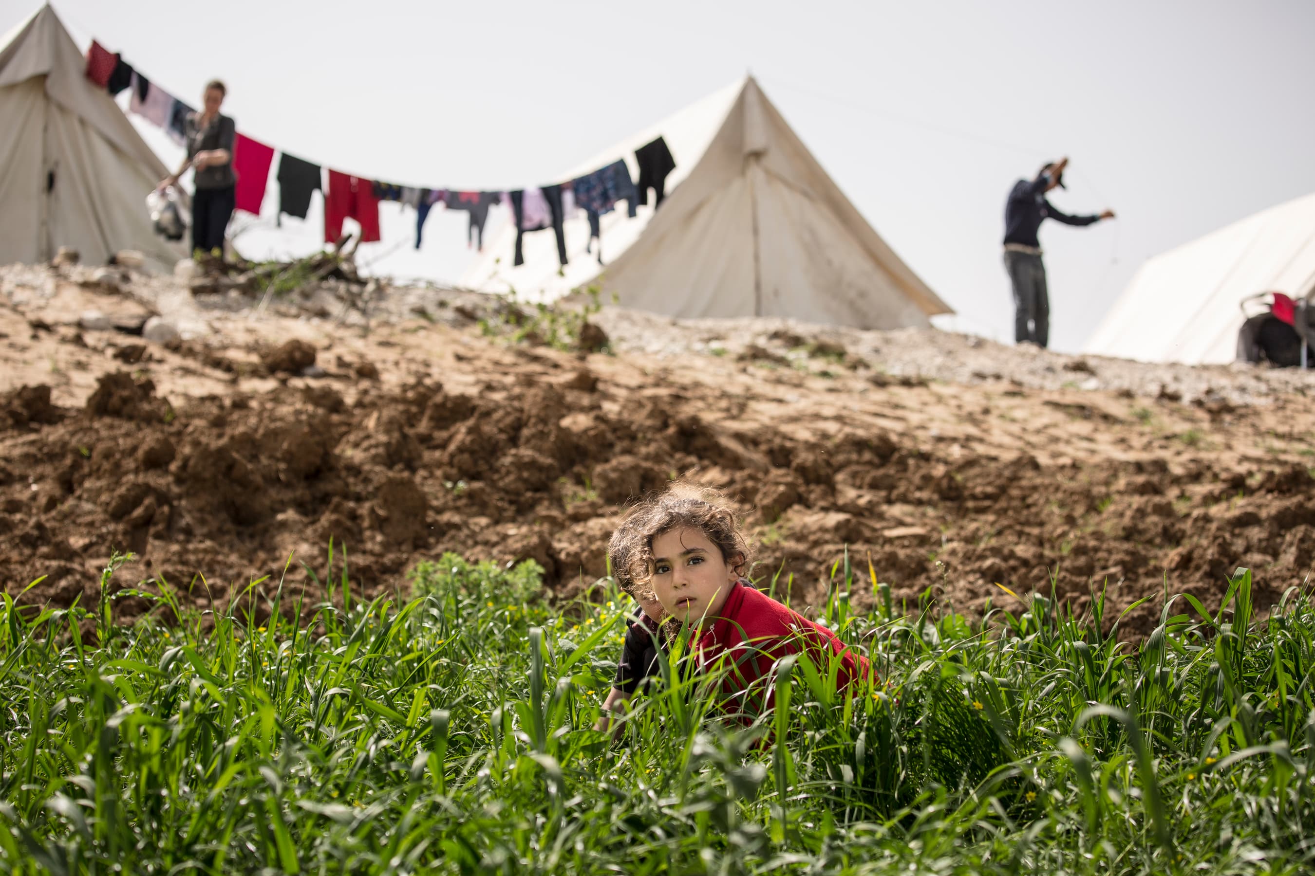 Children play in the grass