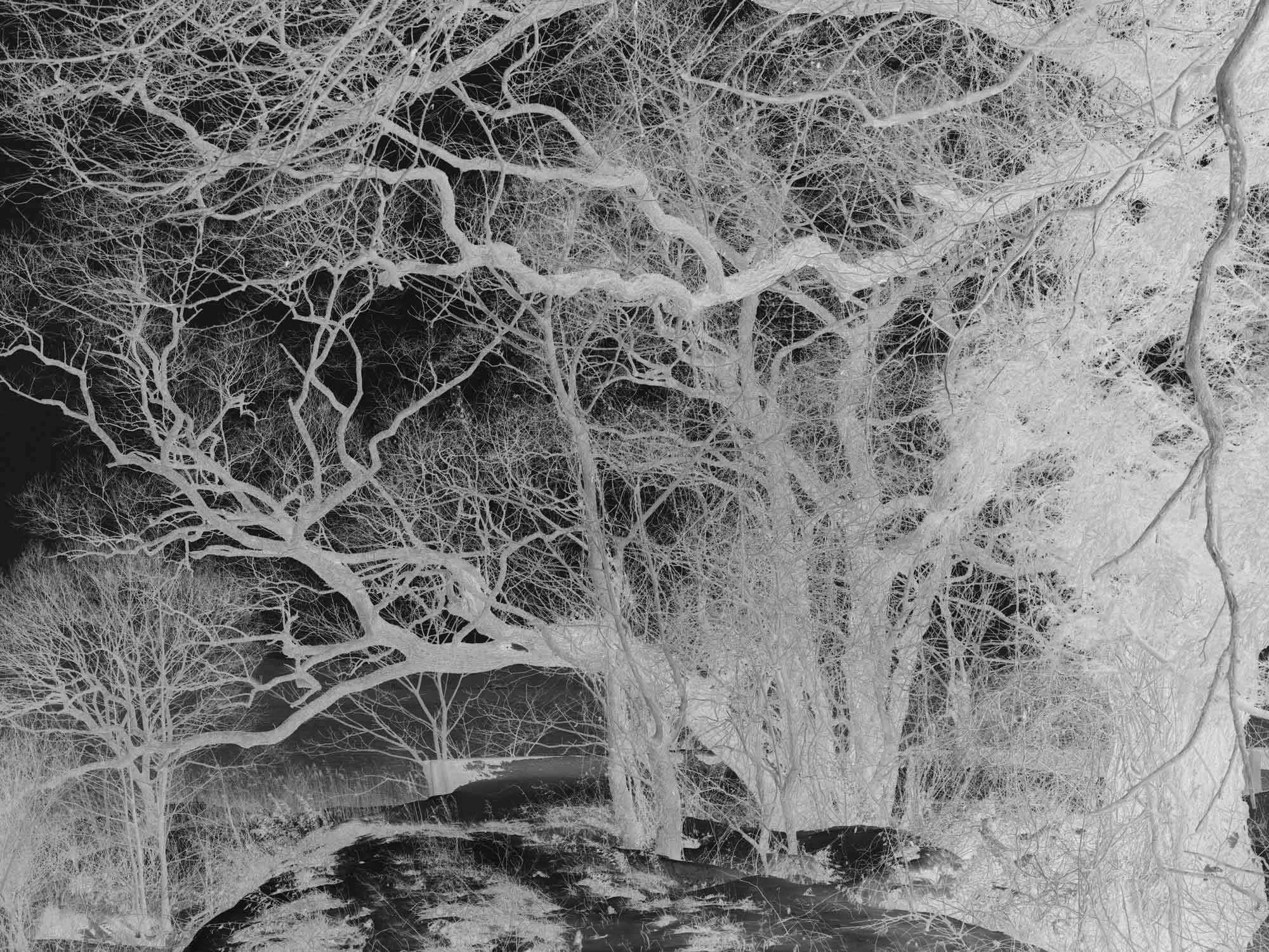 From the series Cesium, 2012.