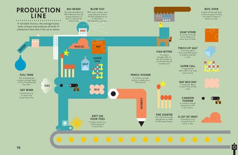 Information Graphics: Human Body