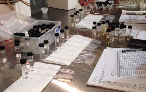 Fragrance experiments