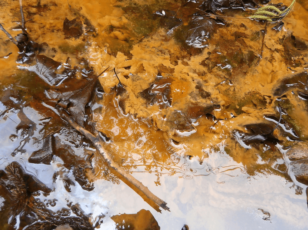 Bright Rust and Iron-oxidizing Bacteria (Ari Daniel)