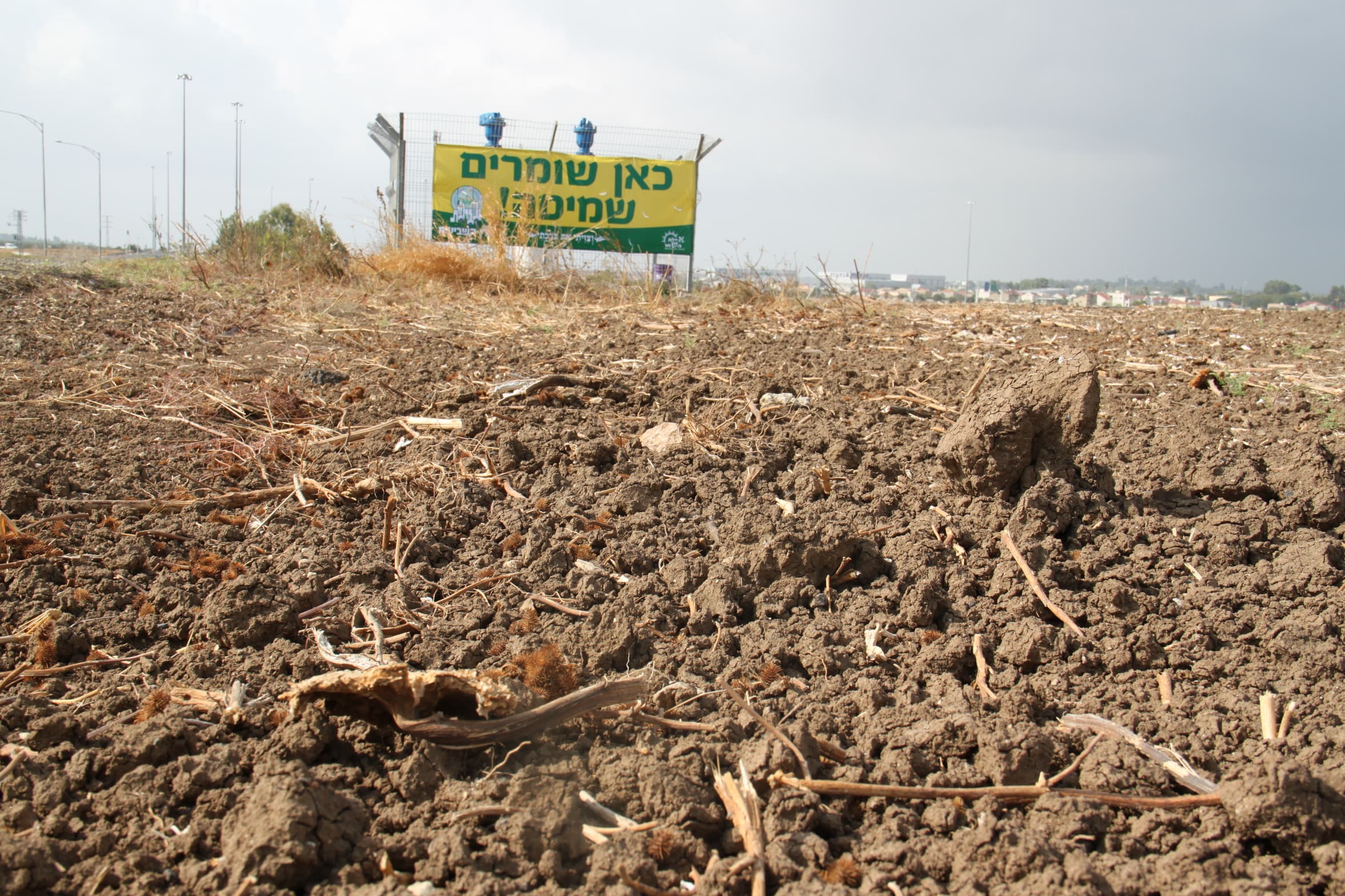 A sign in a fallow sunflower field reads 
