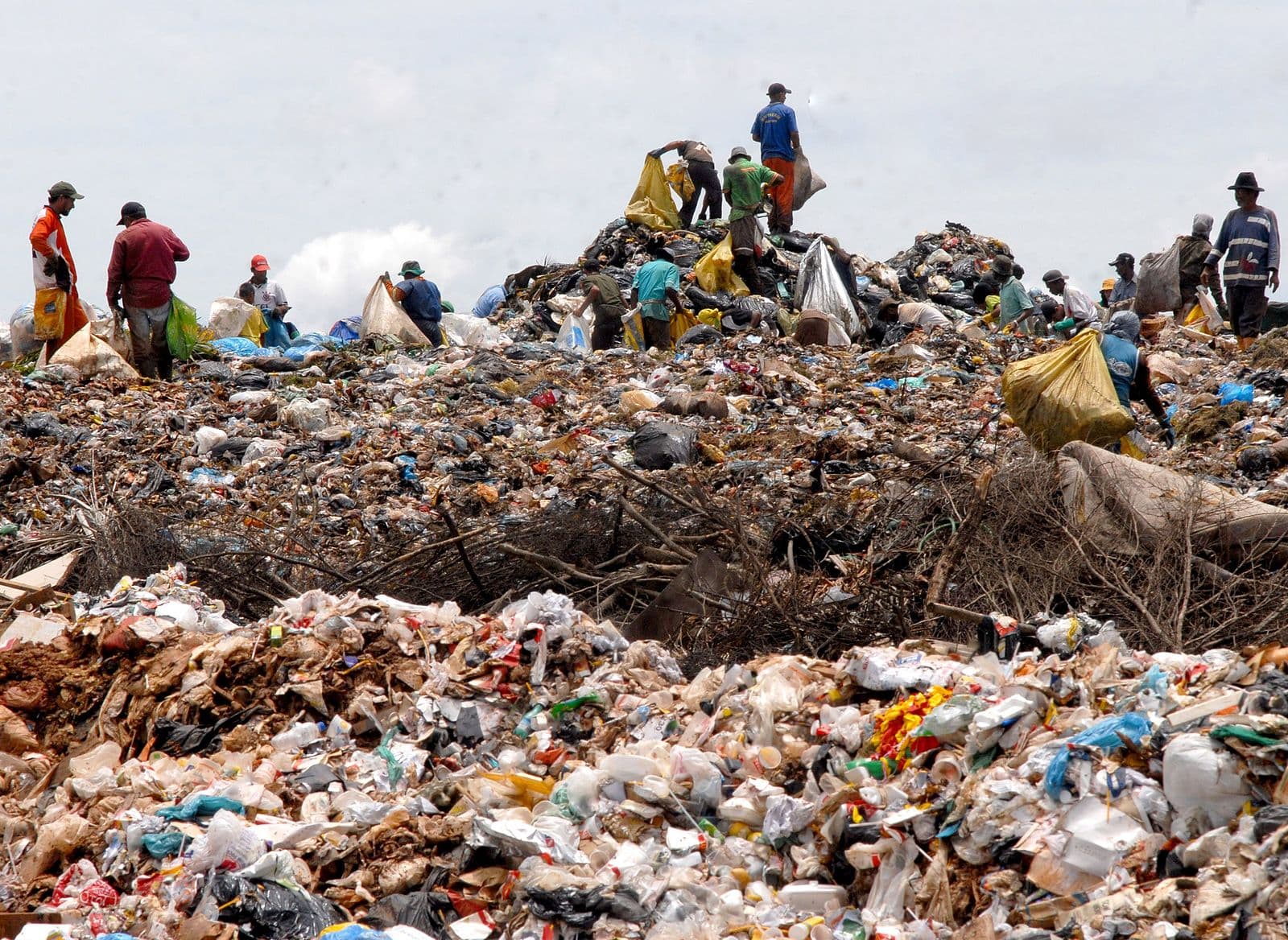 People in Brazil who earn their living by collecting and sorting garbage and selling them for recycling Marcello Casal Jr./Agência Brasil