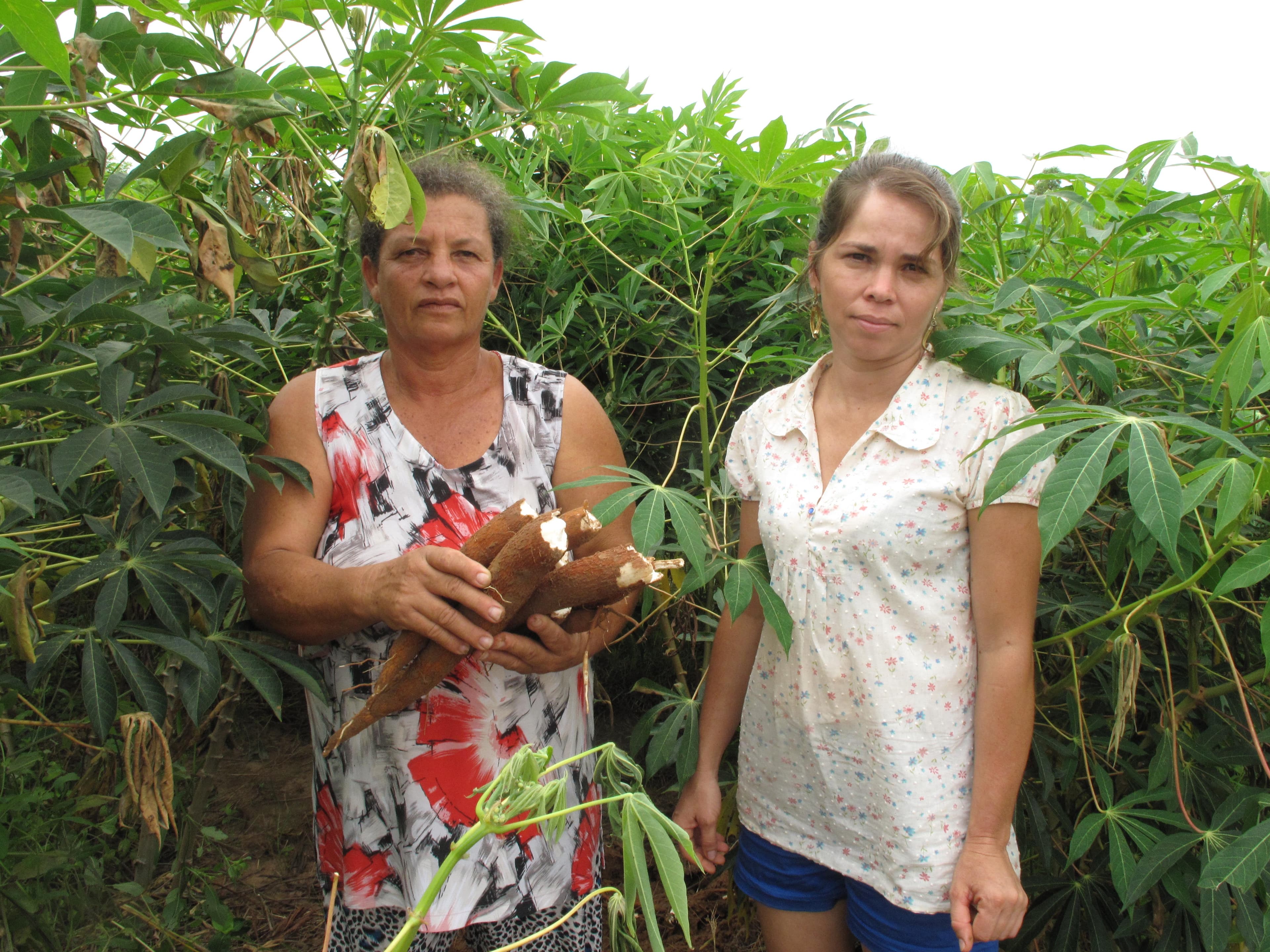 Donna Marinova (l) and Joise Lopes used to rely on middle-men to sell their manioc. Now their farming cooperative can deal directly with schools.
