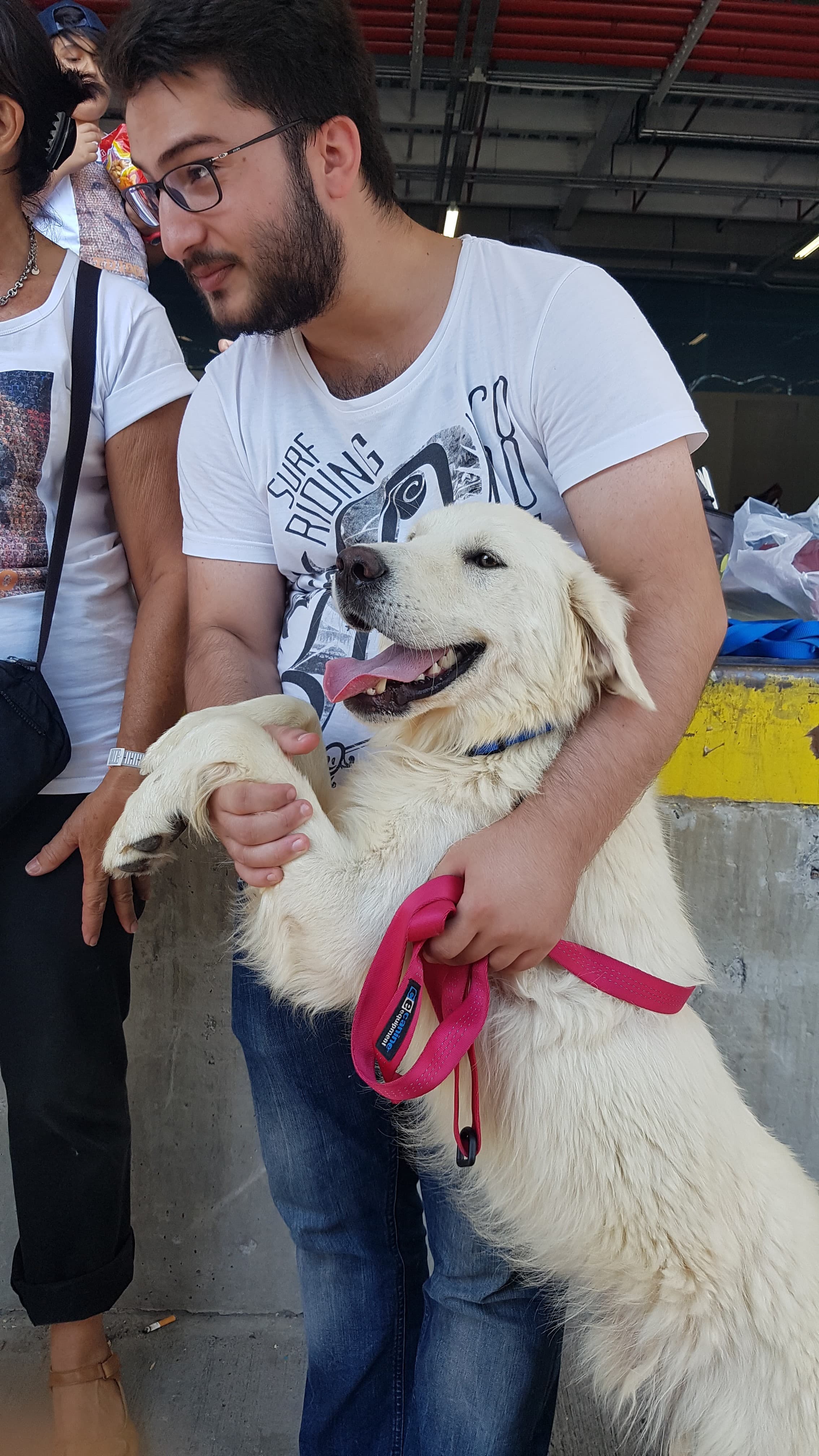Volunteers play with the dogs outside the airport in Istanbul.