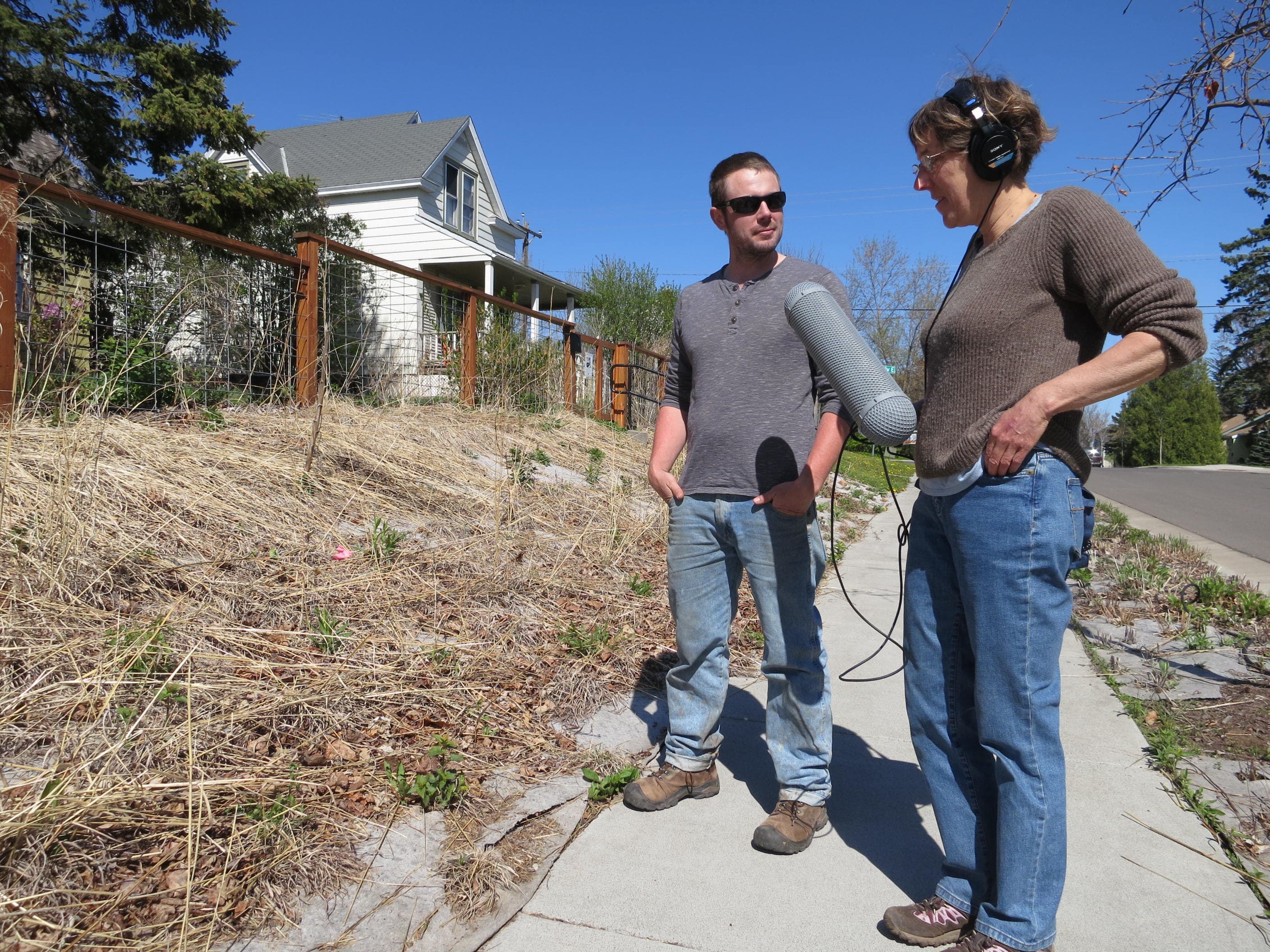 Dan Schutte dug up his lawn in Duluth, Minnesota and put in native plants. He tells producer Catherine Winter that while it looks scraggly in early spring, when it’s blooming it’s a haven for bees and butterflies, and that he idea is starting to cathc on