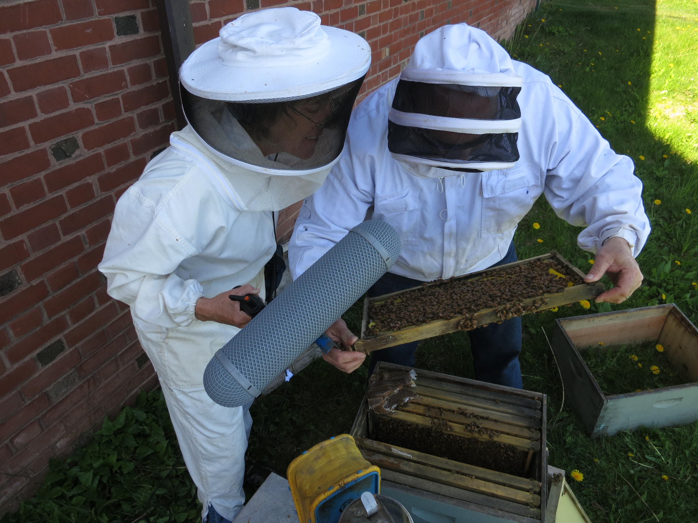 Beekeeper Jon Otis shows producer Catherine Winter a frame of honeybees from his hive on the shore of Lake Superior in Duluth, Minnesota. Otis’s company, Lake Superior Honey, sells packets of wildflower seeds to encourage people to plant habitat for bees.