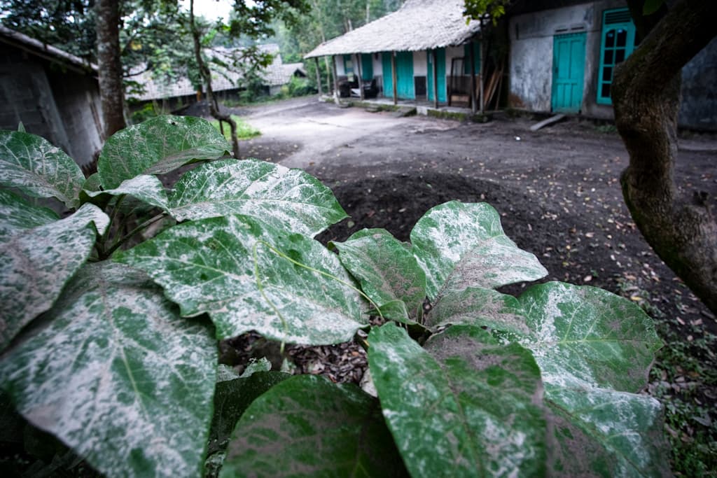 Enforcers with an anti-drug vigilante group called Patjasan await the interrogation of alleged drug users captured in Myitkyina, Myanmar. Fed up with a drug epidemic, the vigilantes raid addicts' homes, abduct them and force them into rehab.