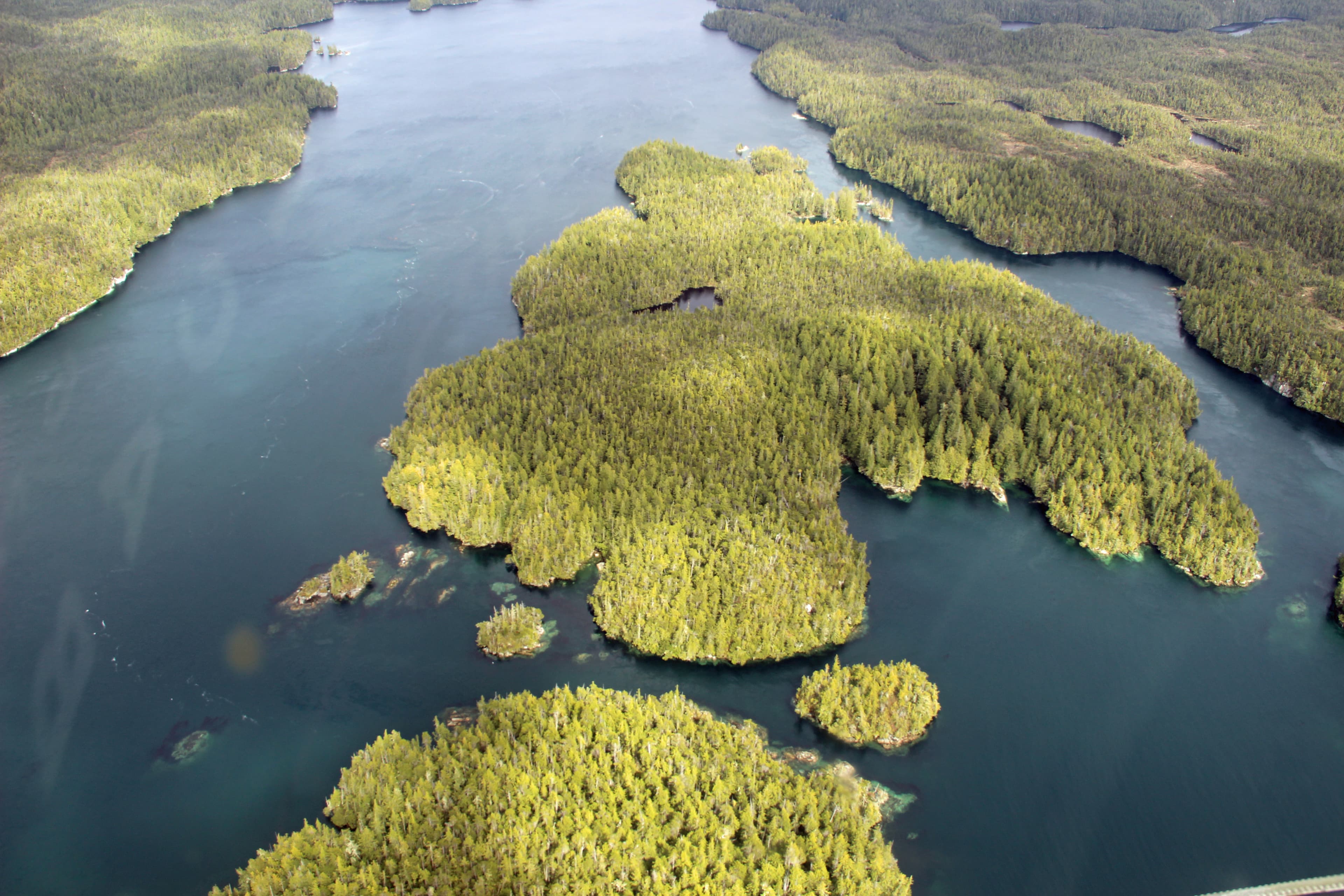 Great Bear Rainforest archipelago
