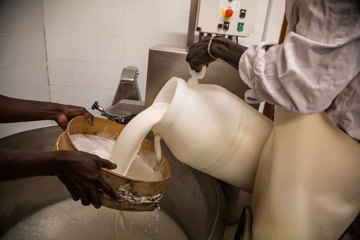 Barikama yogurt makers pour milk through a sifter before boiling it to make their yogurt.  The coop produces 200 liters each week at a small cost, thanks to a generous Roman farmer who lends them his cheese lab for free.