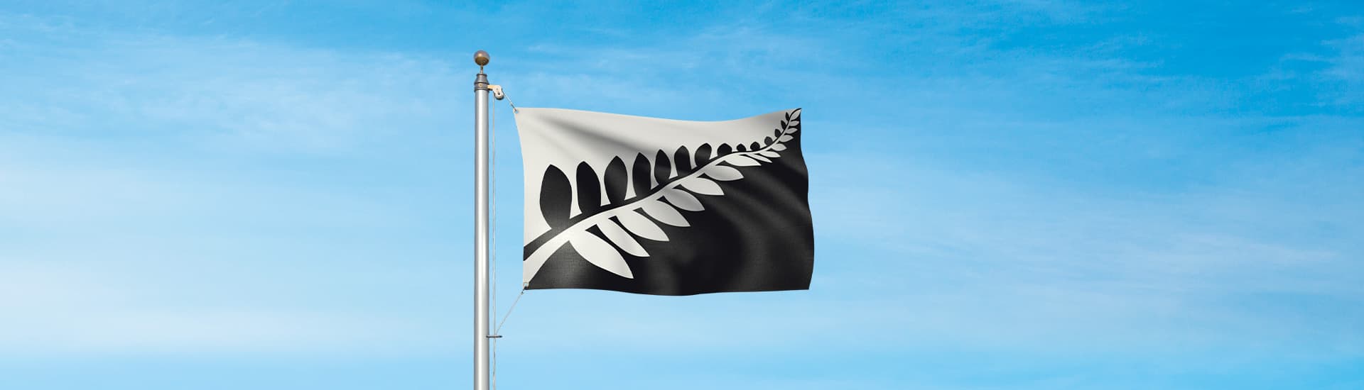 Silver Fern flag