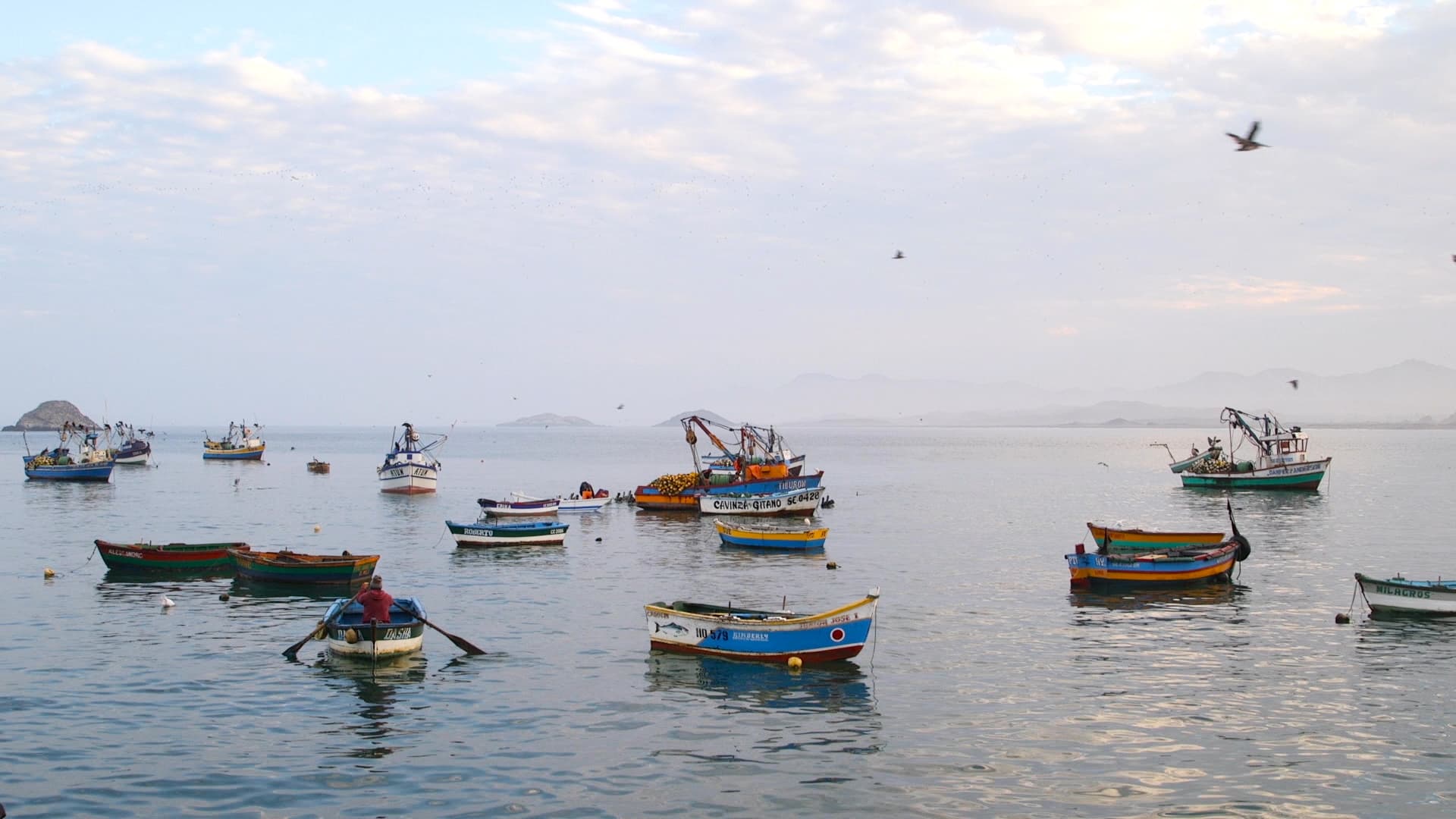 Boats bob next to the tiny fishing village of Puerto Huarmey, Peru.