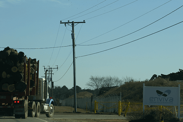 Cypress trees entering a power plant