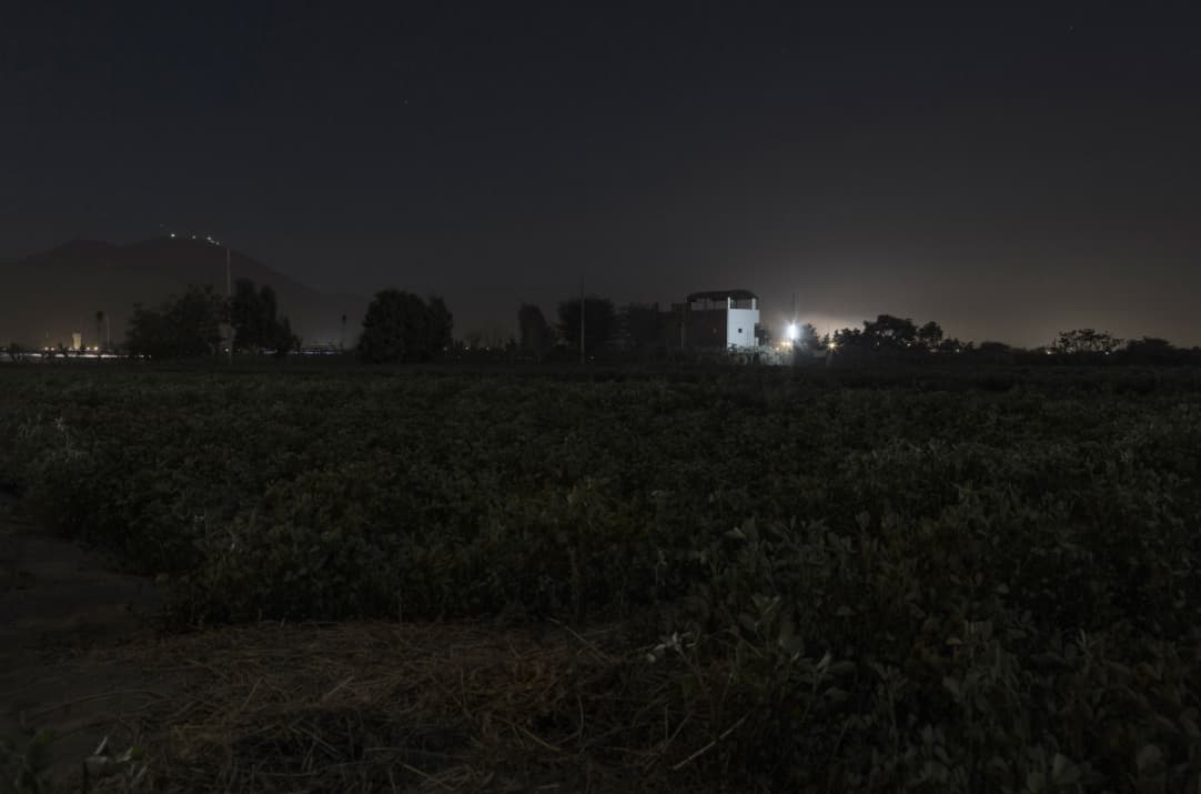 Yessica C. (Transgender, Survivor, 2010).