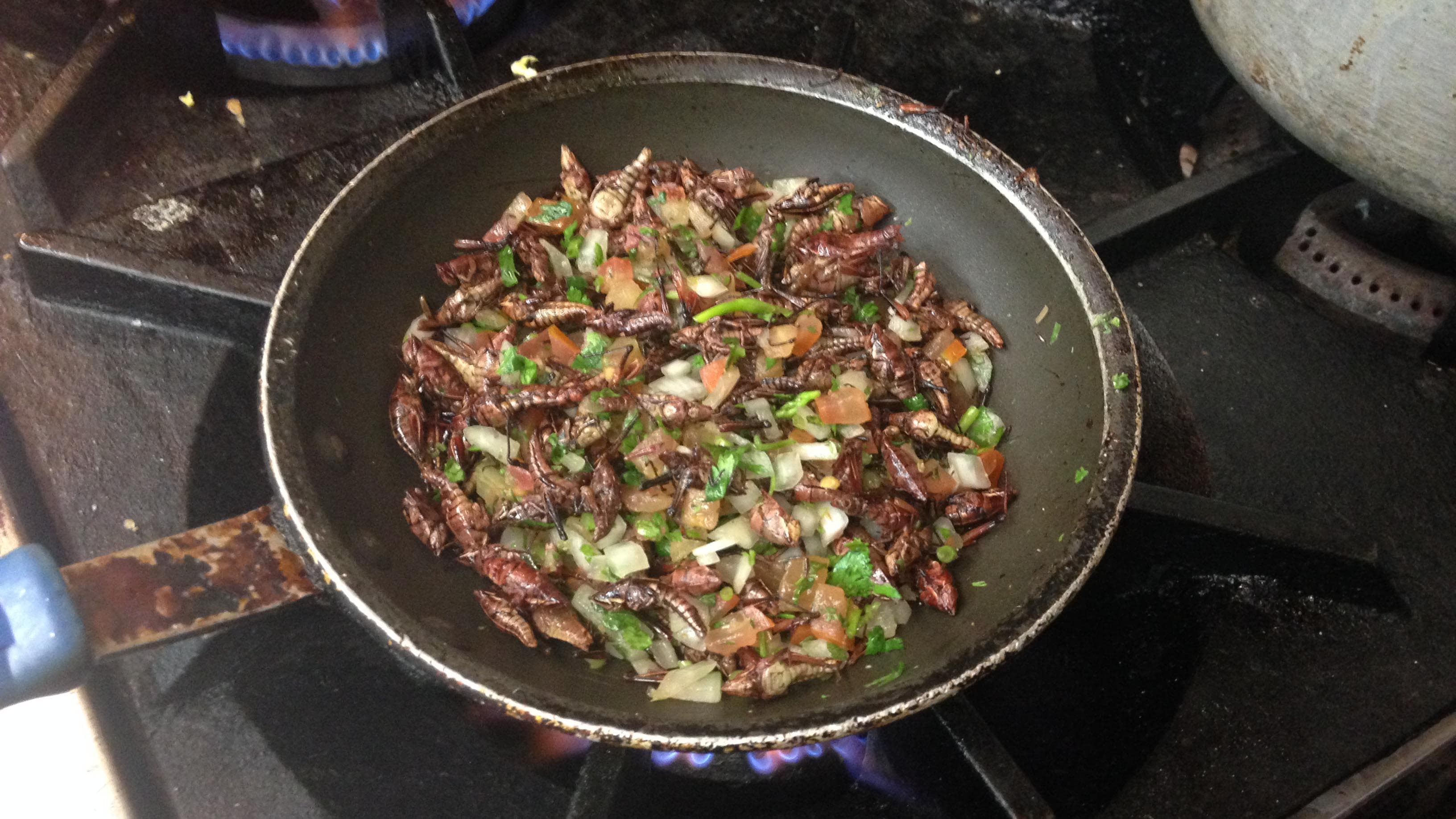 Chapulines, or fried grasshoppers, are prepared at Guelaguetza, a Oaxacan restaurant in Los Angeles.