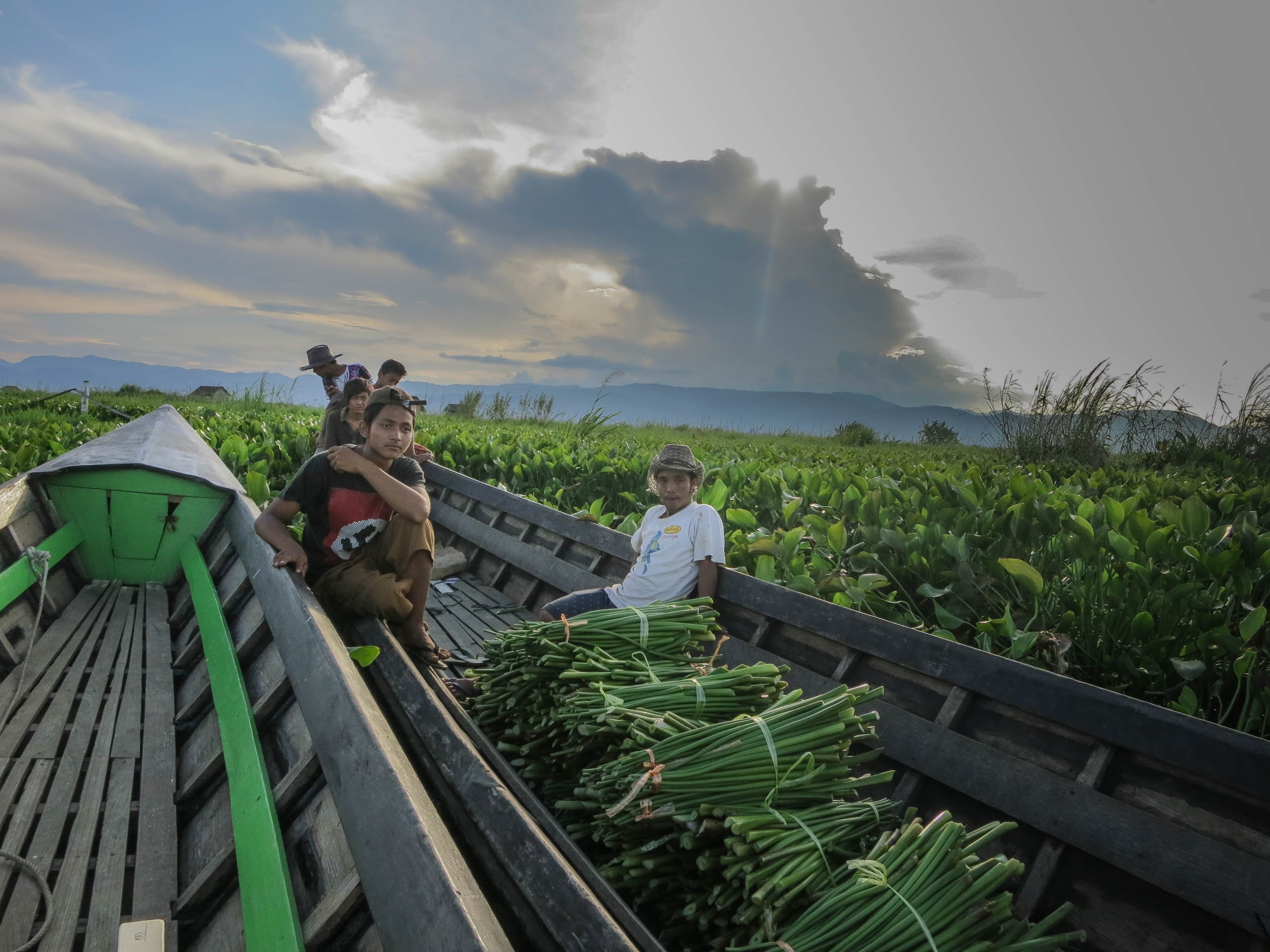 Members of a local youth group Kyaw Soe works with rest in one of the huge beds of water hyacynths that are encroaching on Inle’s surface. The teenagers pull up as many of the invasive plants as they're able and use the stems in basket-weaving workshops.