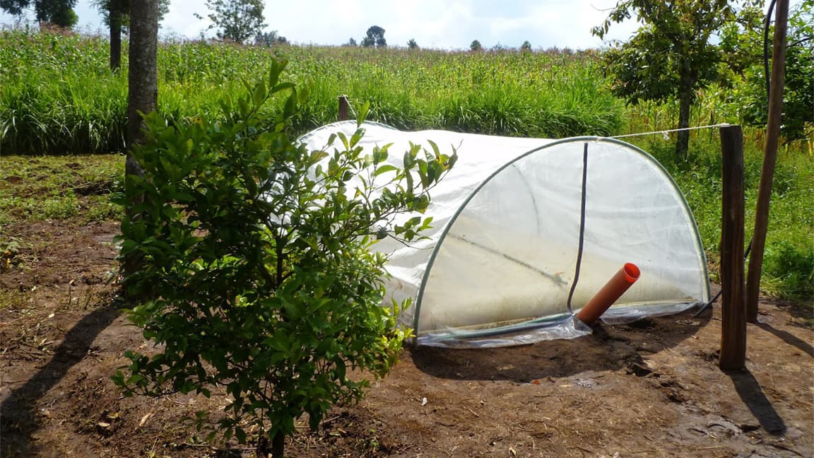 flexi biogas systems