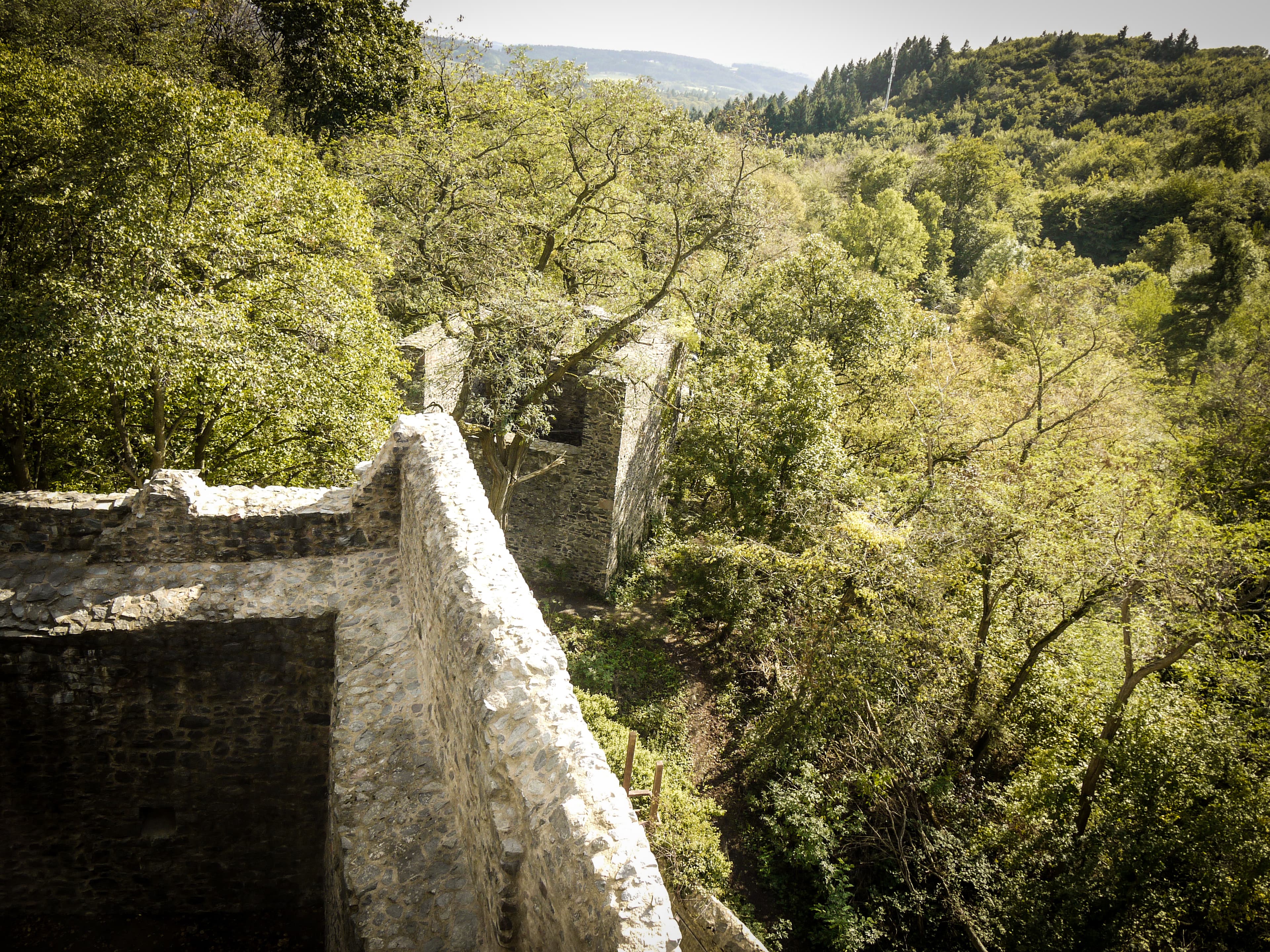 Castle Frankenstein, which is at least seven centuries old, is situated in the Odenwald, a large forest area not far from Frankfurt.