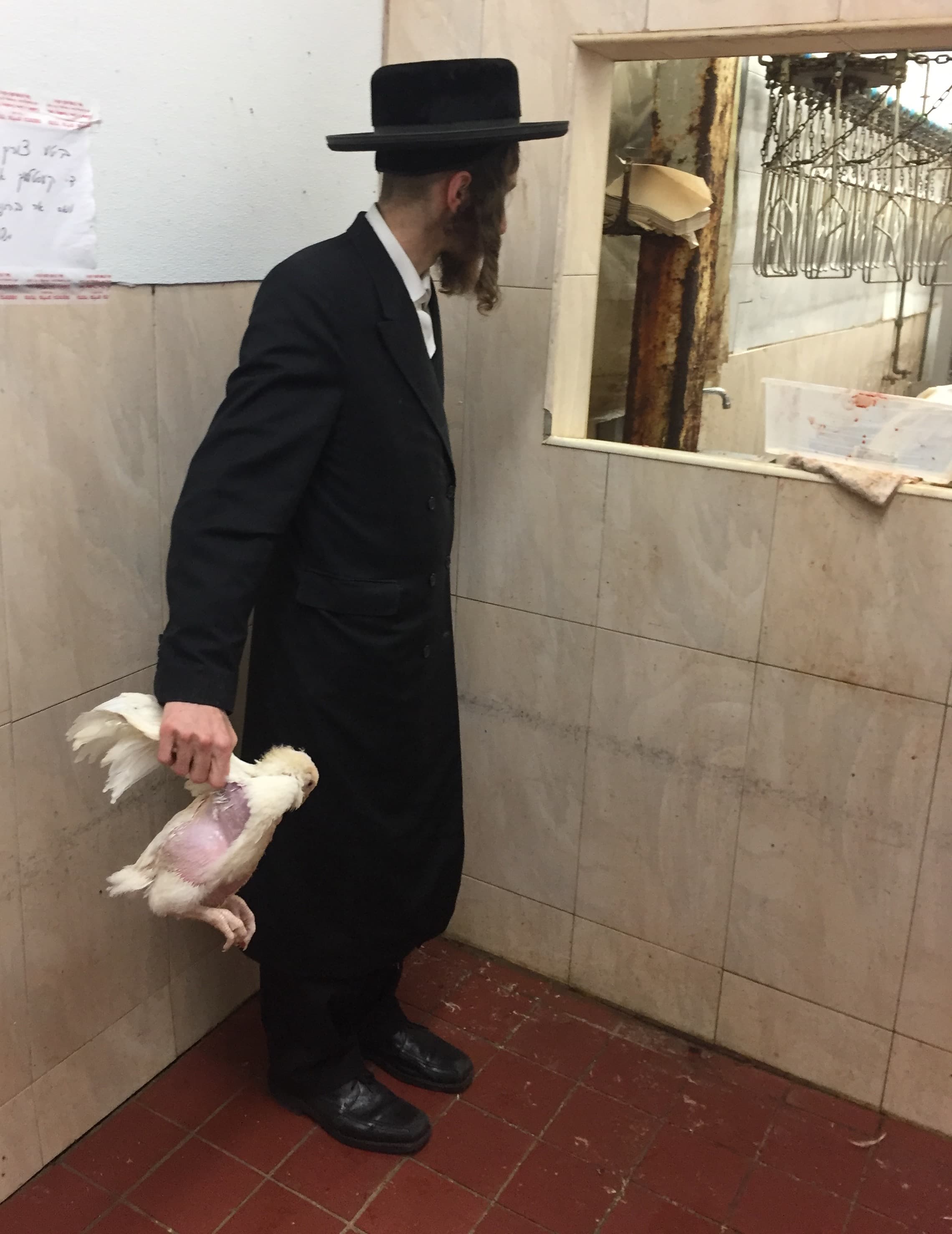 Preparing for the Jewish ritual of Kaparot.