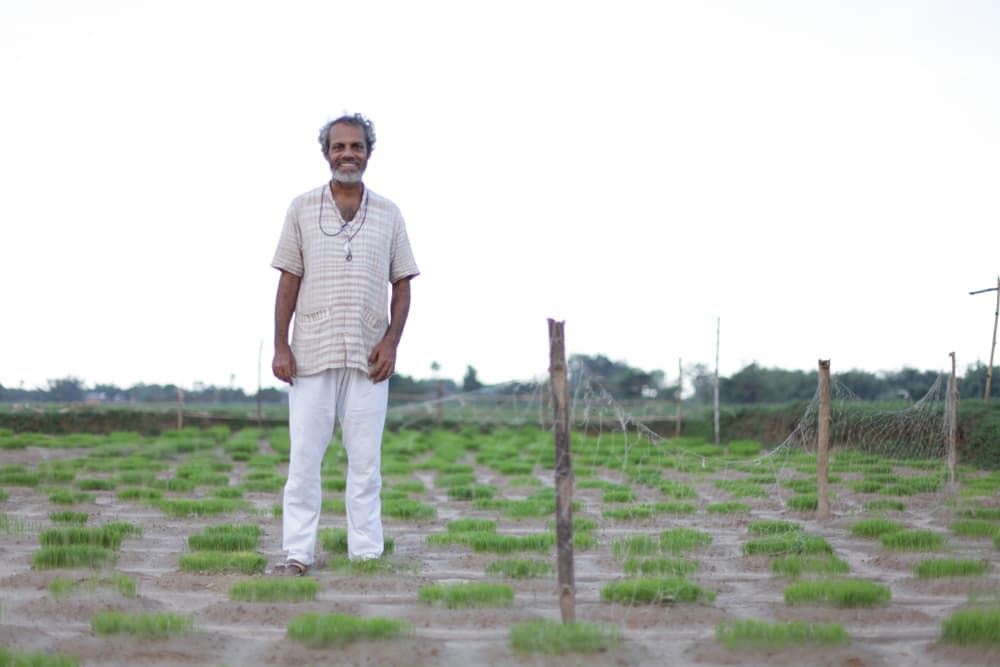 Debal Deb, founder of the Vrihi seed bank in West Bengal.