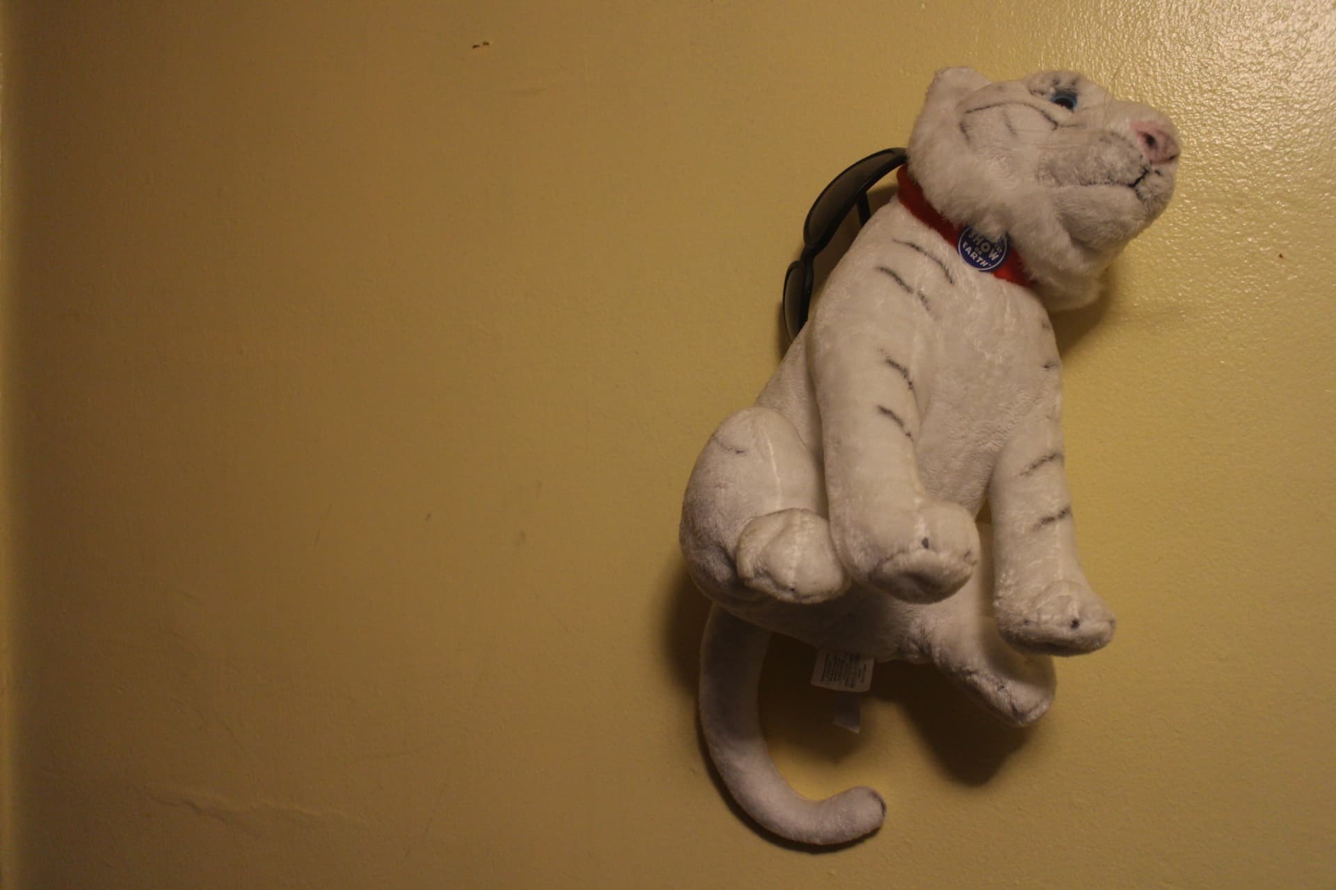 A stuffed animal hangs from the living room wall at Ricardo Calel's apartment. Getting detained and later deported caused him to miss the birth of his second son.