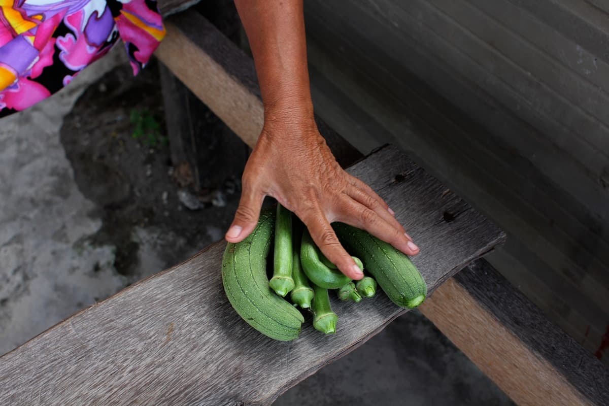 Tacloban City — one year after Haiyan