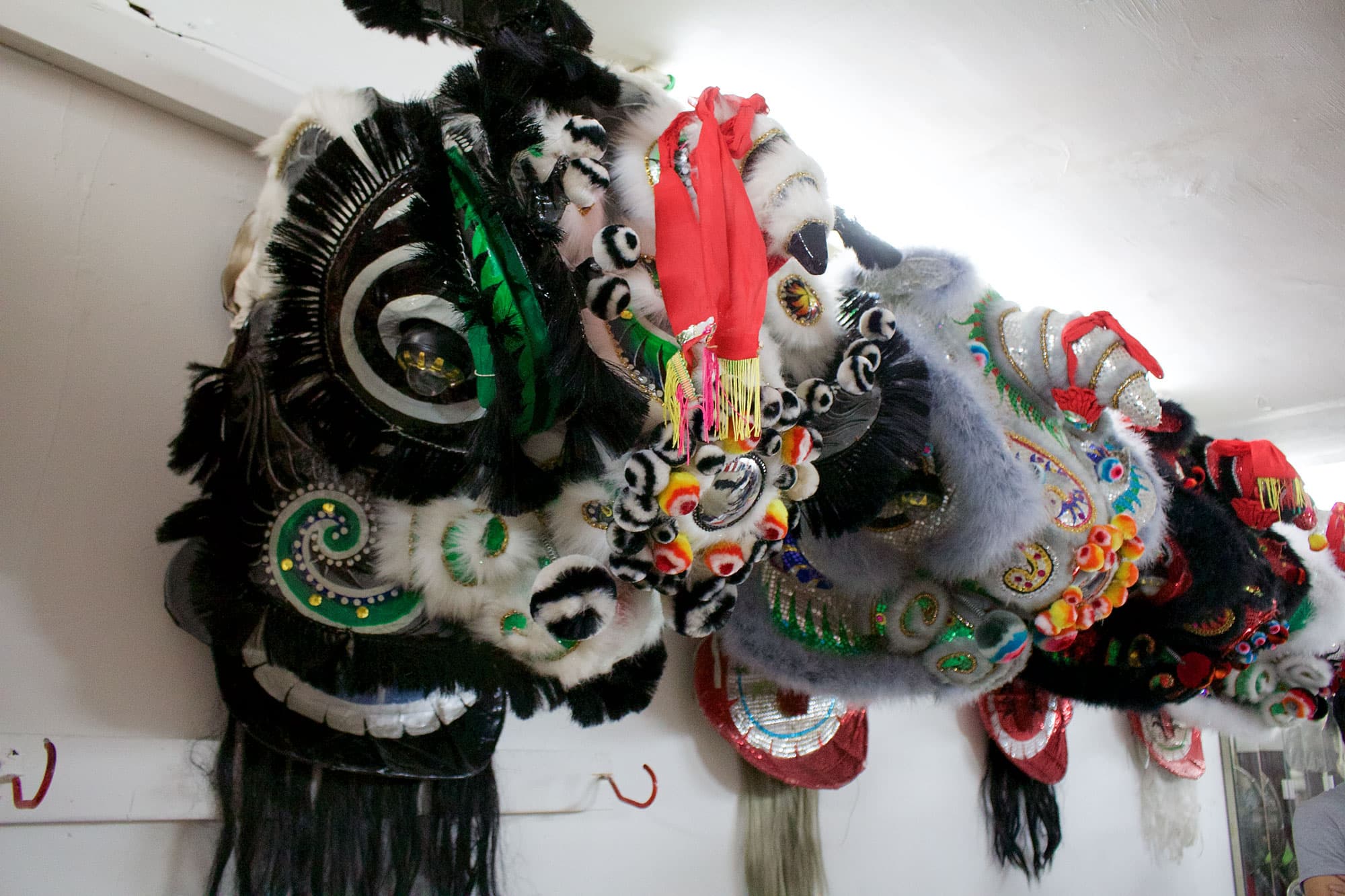 The head used for the Chinese lion, which includes a horn growing out of its forehead, is an imaginative interpretation of an animal not native to ancient China, incorporating elements of the dragon and other mythical beasts.