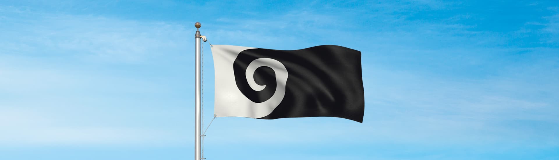 Koru flag