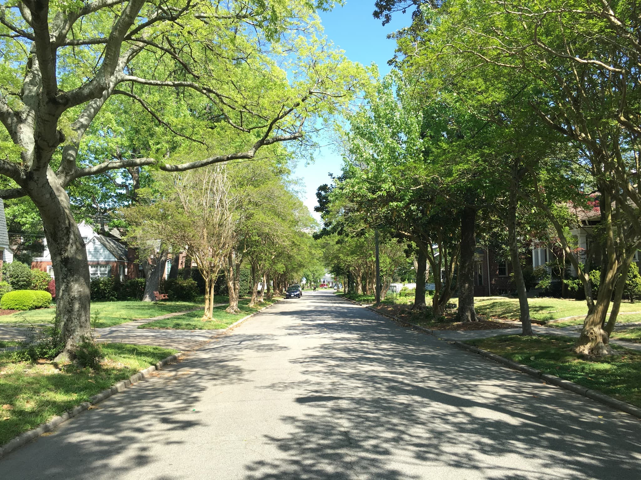 Leafy Norfolk street