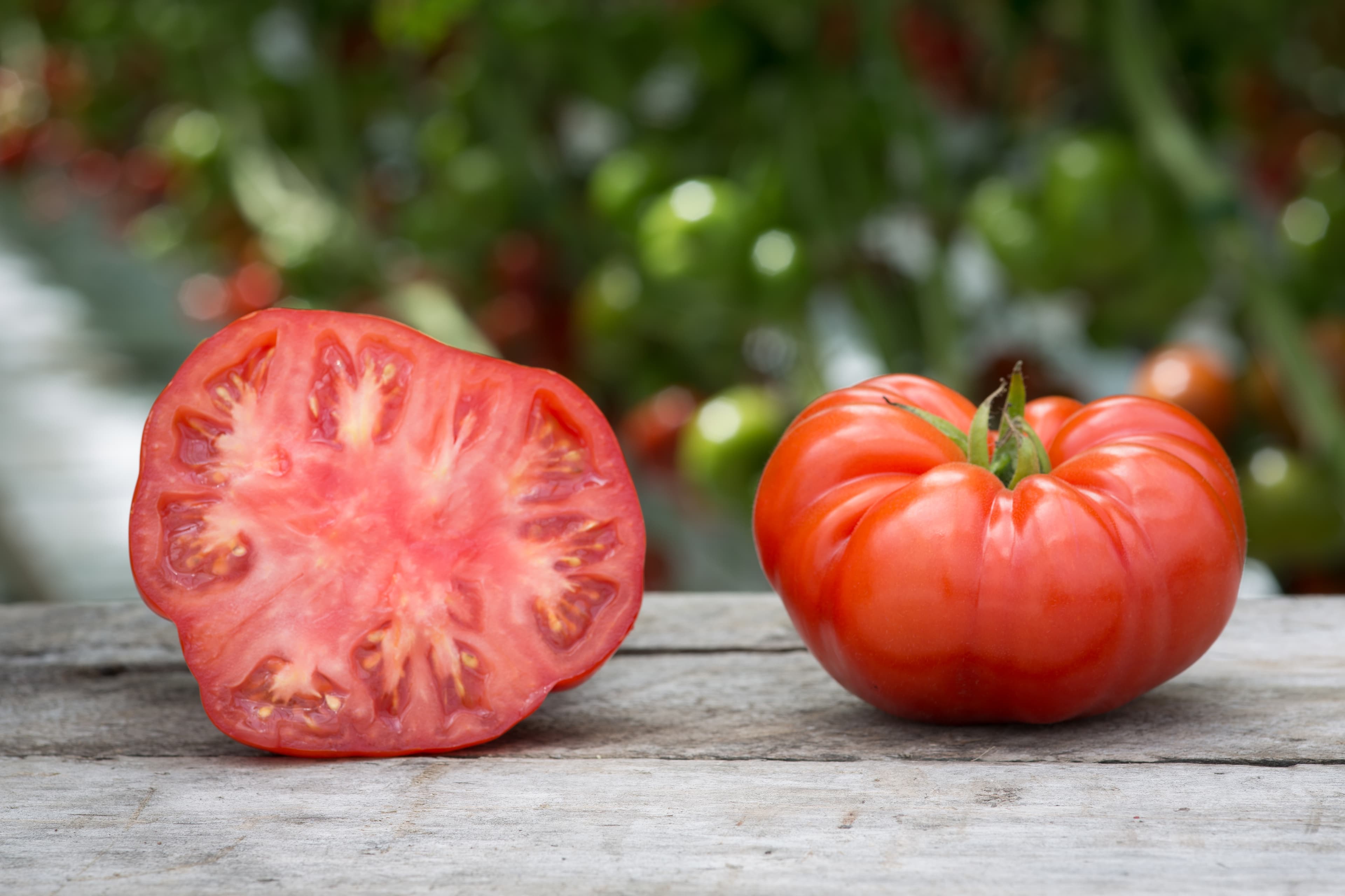 Beefsteak tomato