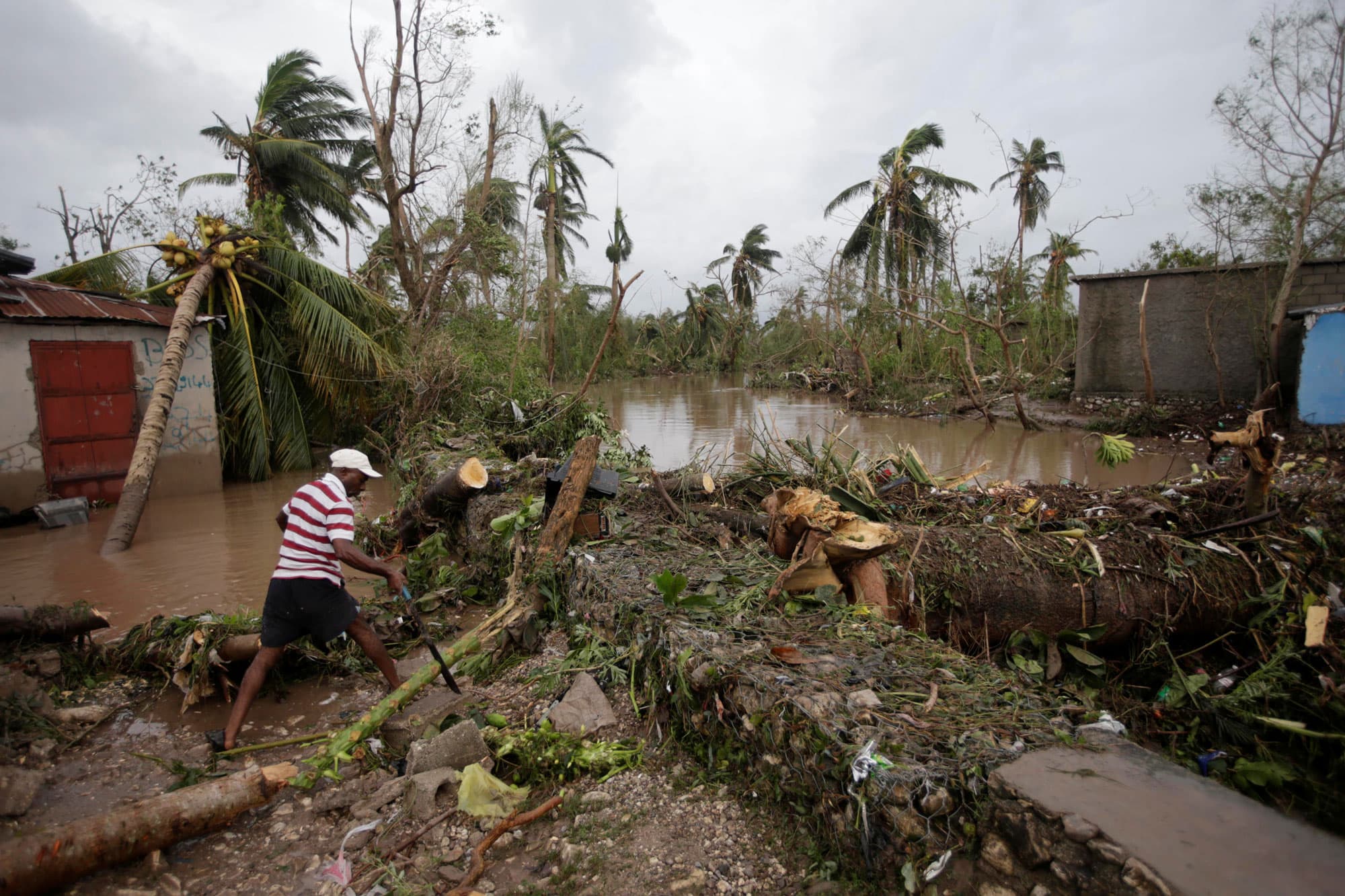 A man cuts branches off fallen trees in a flooded area by a river after Hurricane Matthew in Les Cayes, Haiti.