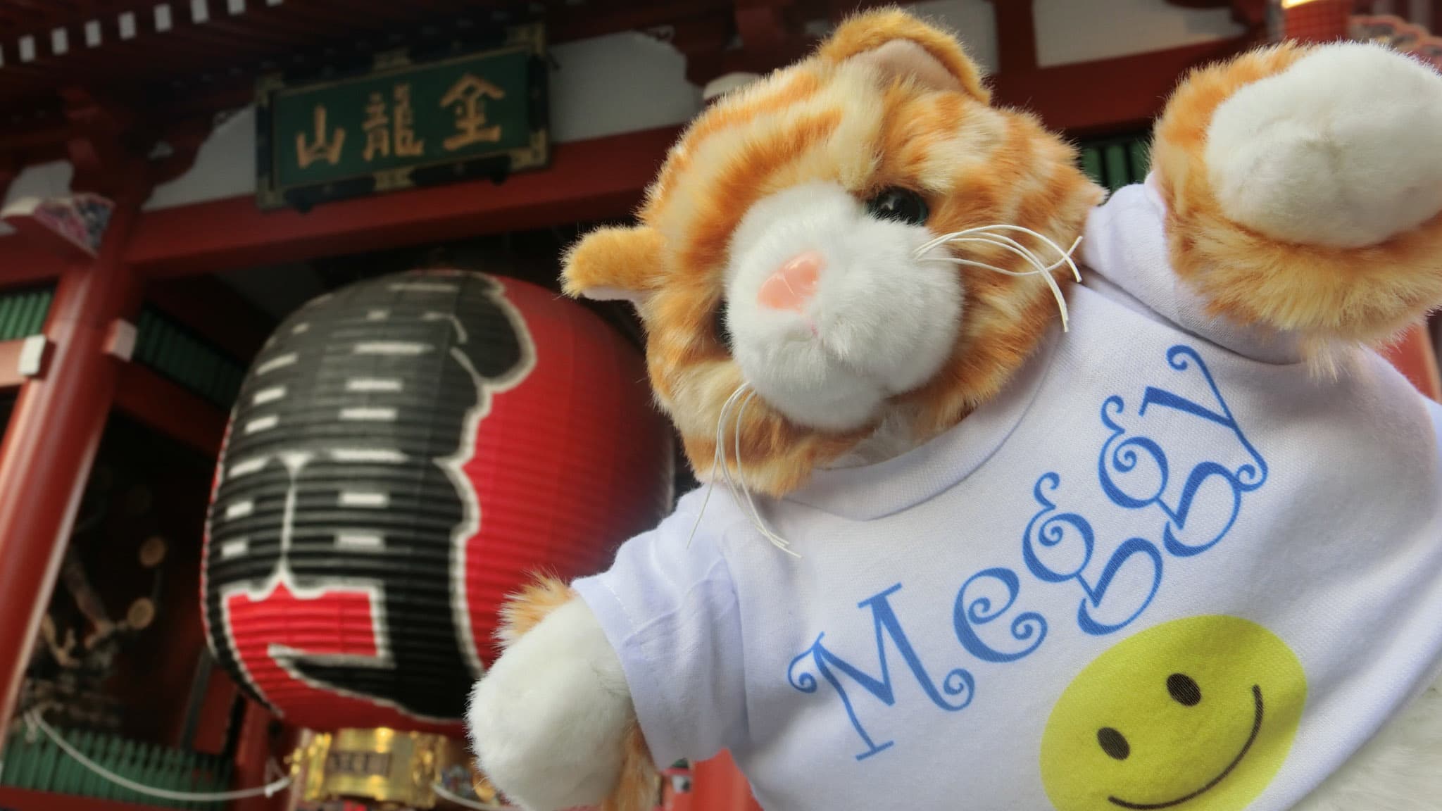 Meggy Weggy outside a restaurant in Tokyo. The oversized tabby drank quite a bit, but didn't sample the famed Japanese sushi; she's a vegetarian.
