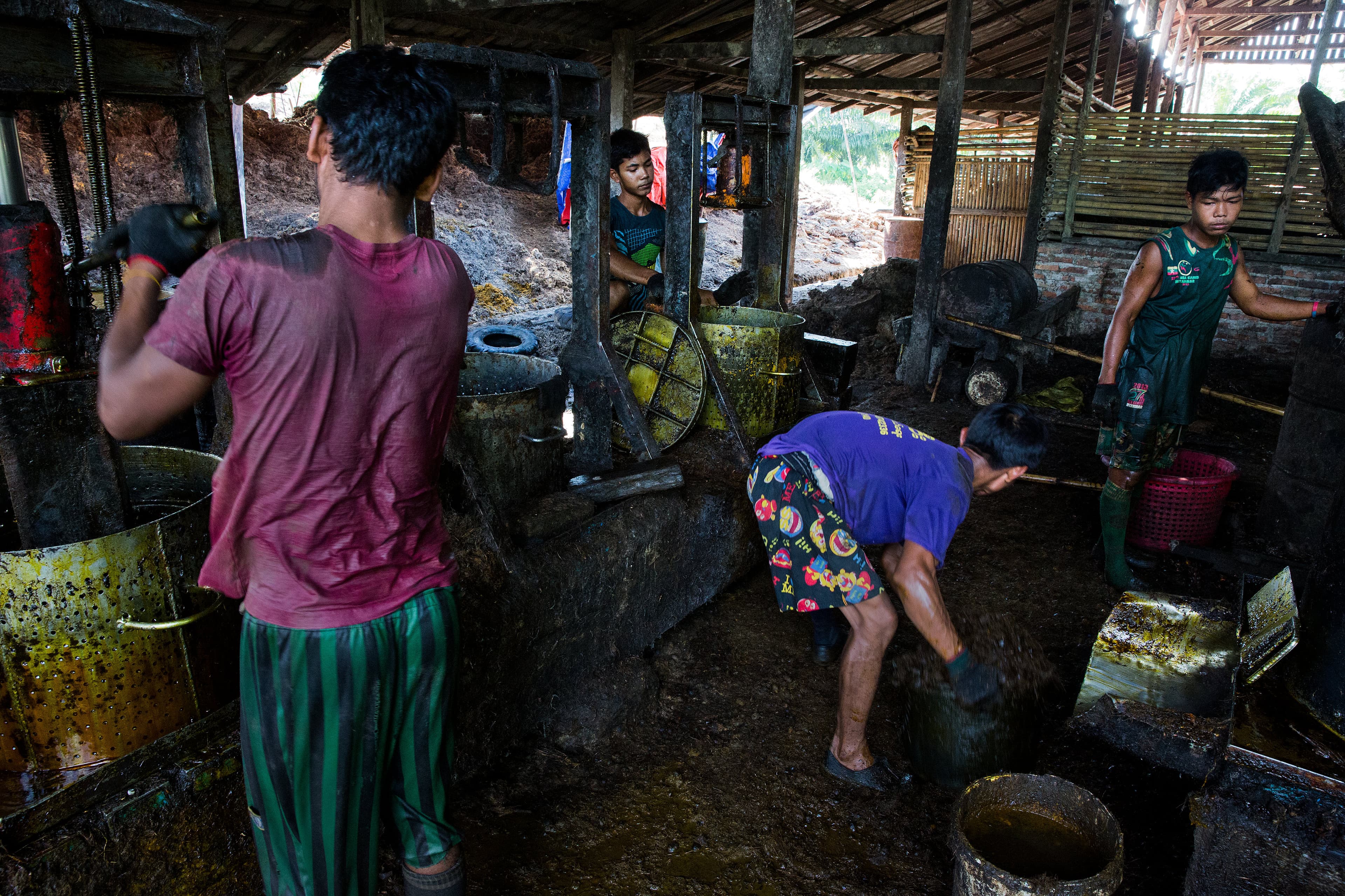 Men work in an oil mill at Asia World palm oil plantation in Bank Mae Village, Myanmar, Nov. 11, 2016. Here, workers take the softened oil palm fruit and prepare it to be pressed into oil.