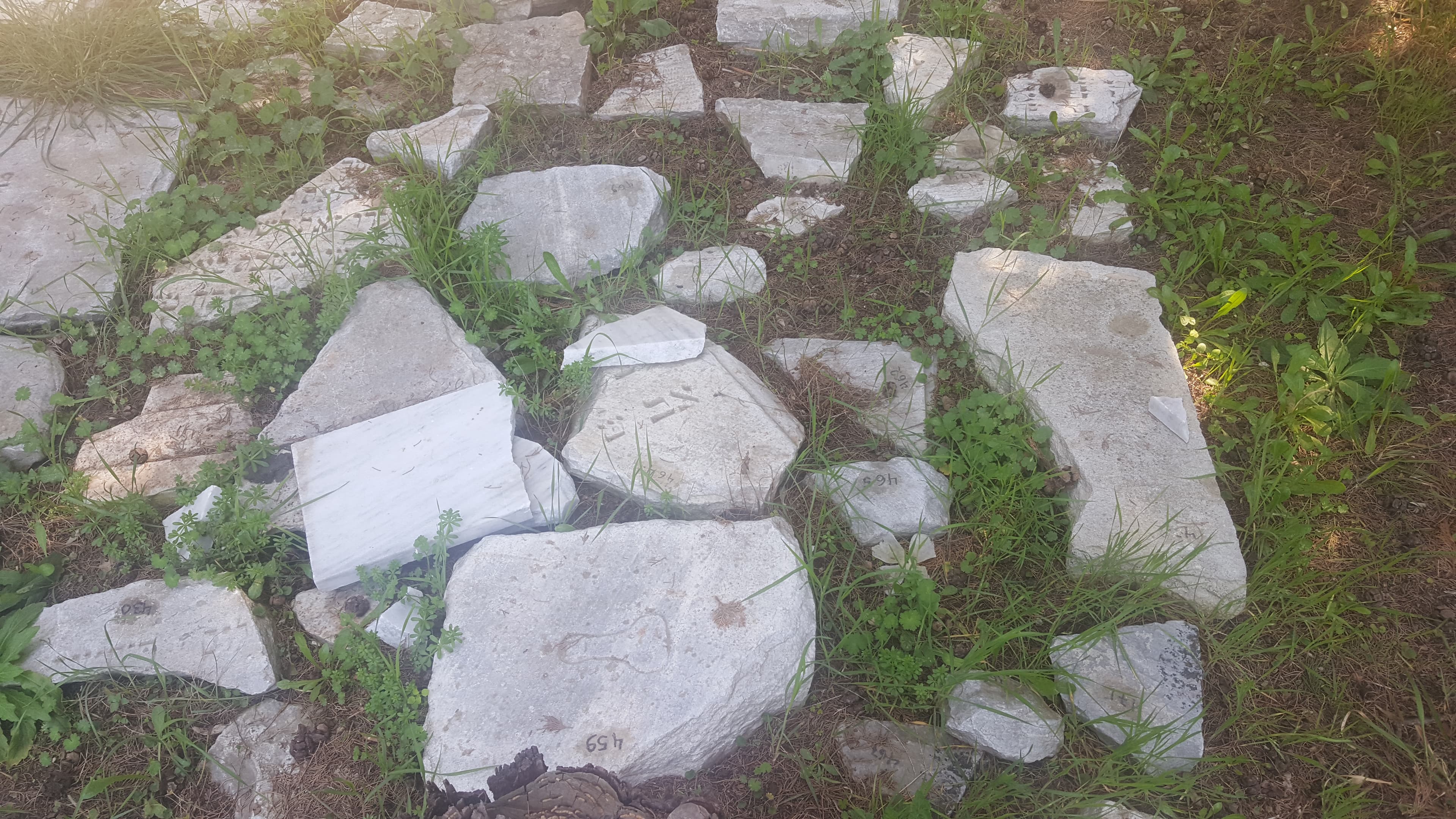 Small fragments of tombstones from Thessaloniki's old Jewish cemetery. The pieces are too small to decipher.