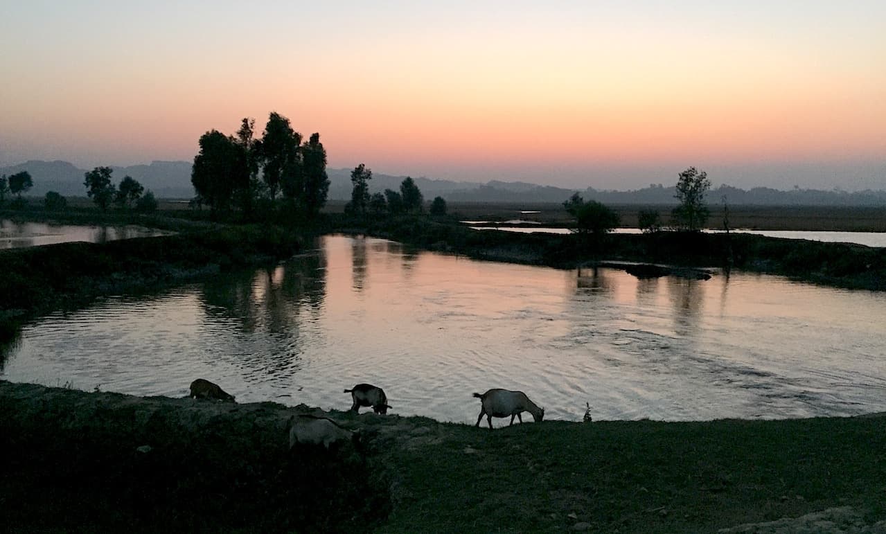 Rohinya underground railroad Bangladesh