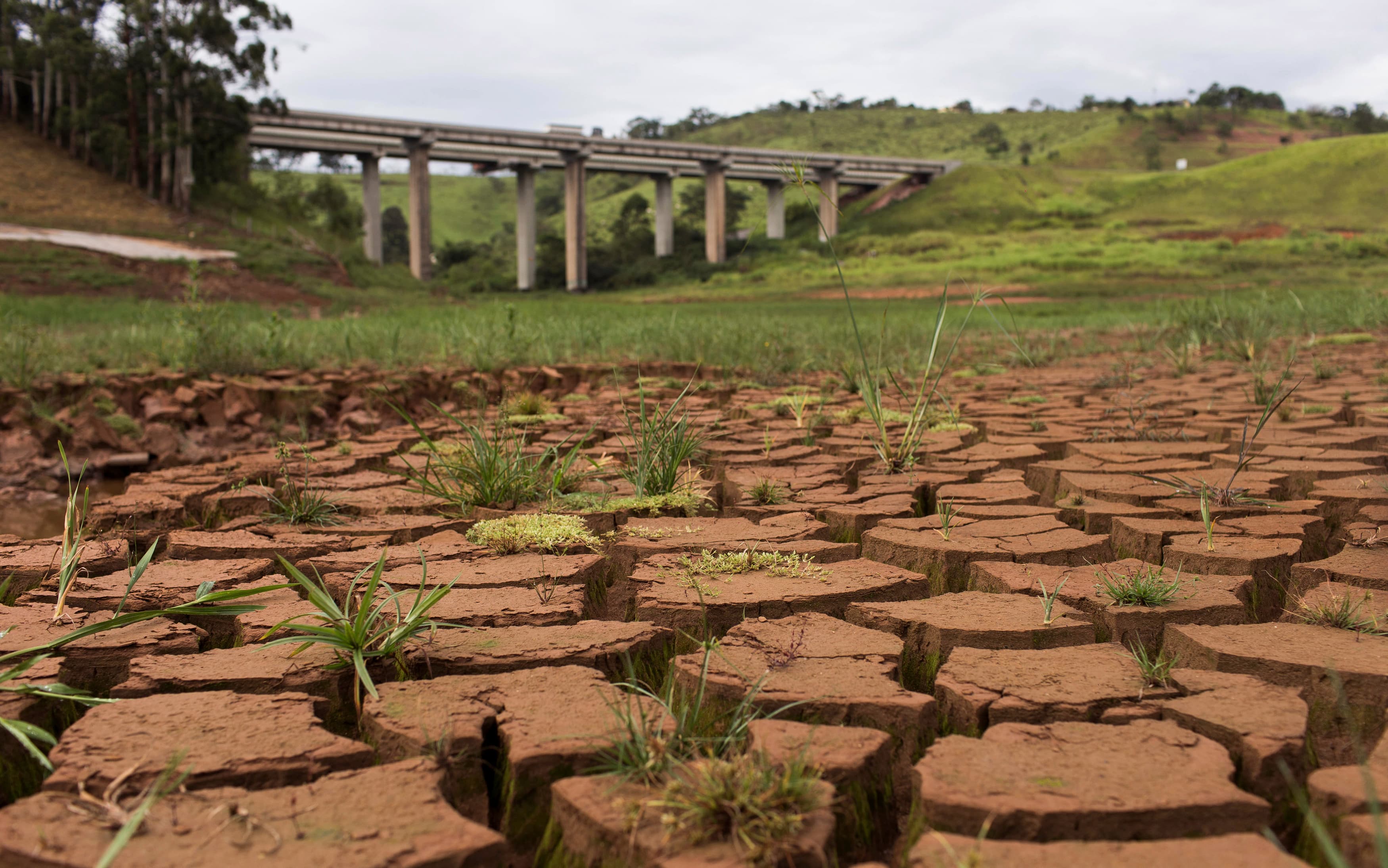Part of the Cantareira reservoir, in São Paulo state, in late January. São Paulo’s state government warned six years ago of a water crisis by 2015, but little was done to avoid it.