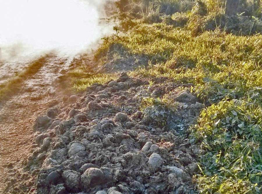 Rhino dung is rich in fiber useful in making paper, and relatively easy to find in the animals' territory. One rhino can drop up to 900 pounds in one spot over 10 days or so.