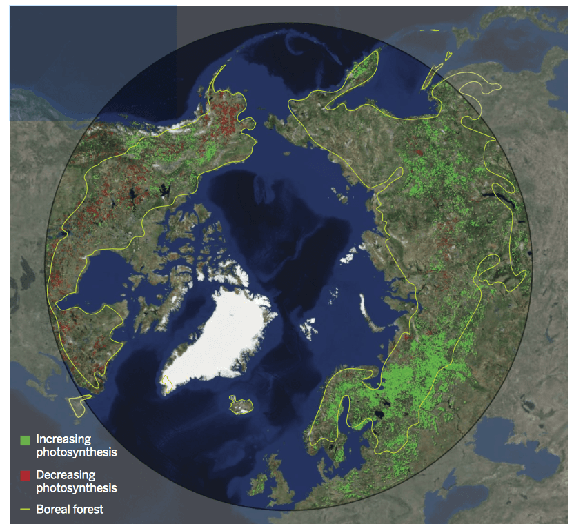 Satellite browning and greening