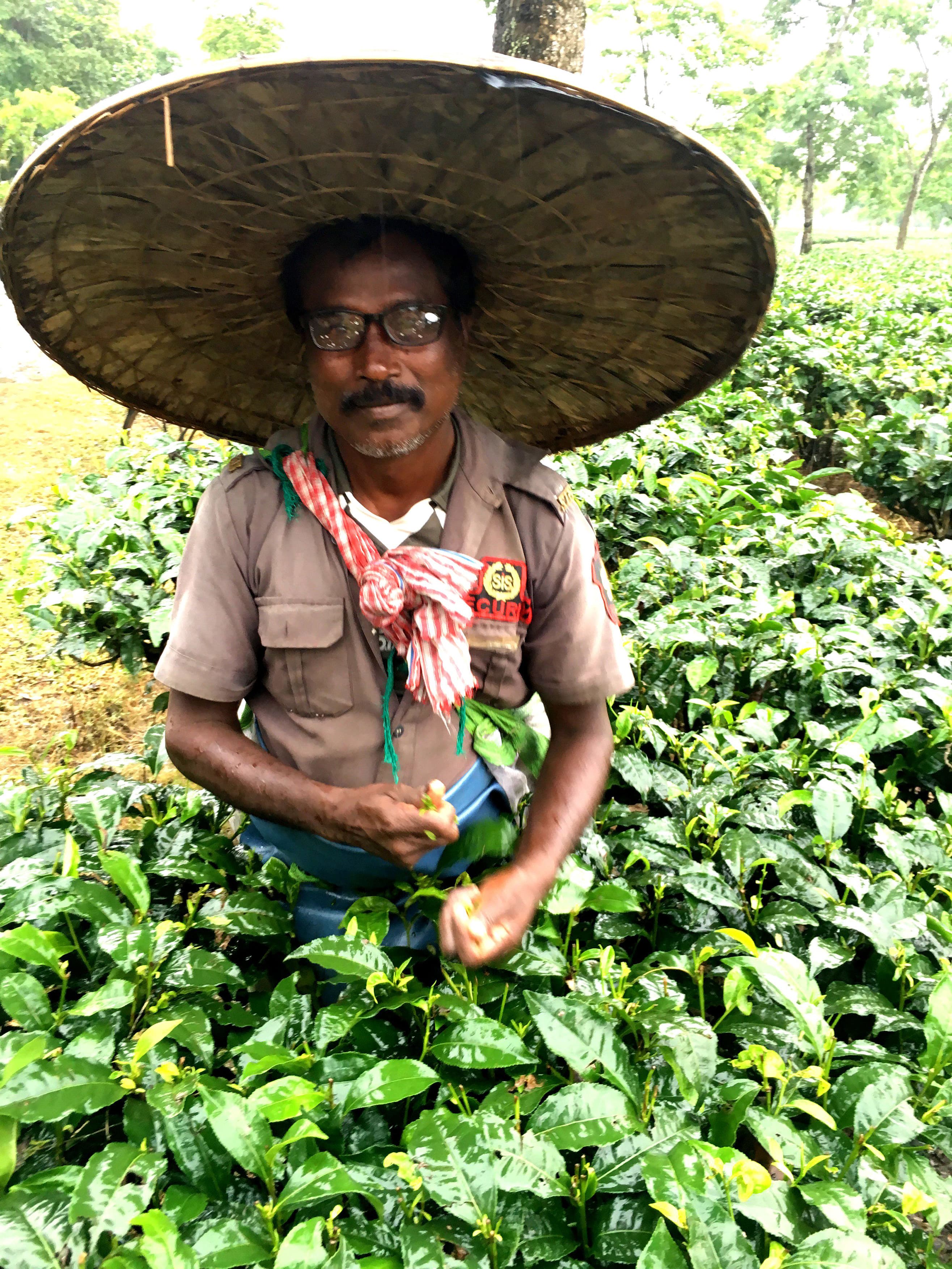 Tea worker with new glasses