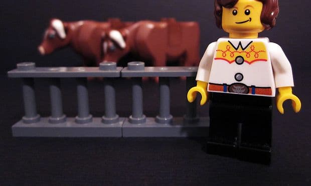 Temple Grandin Lego minifigure