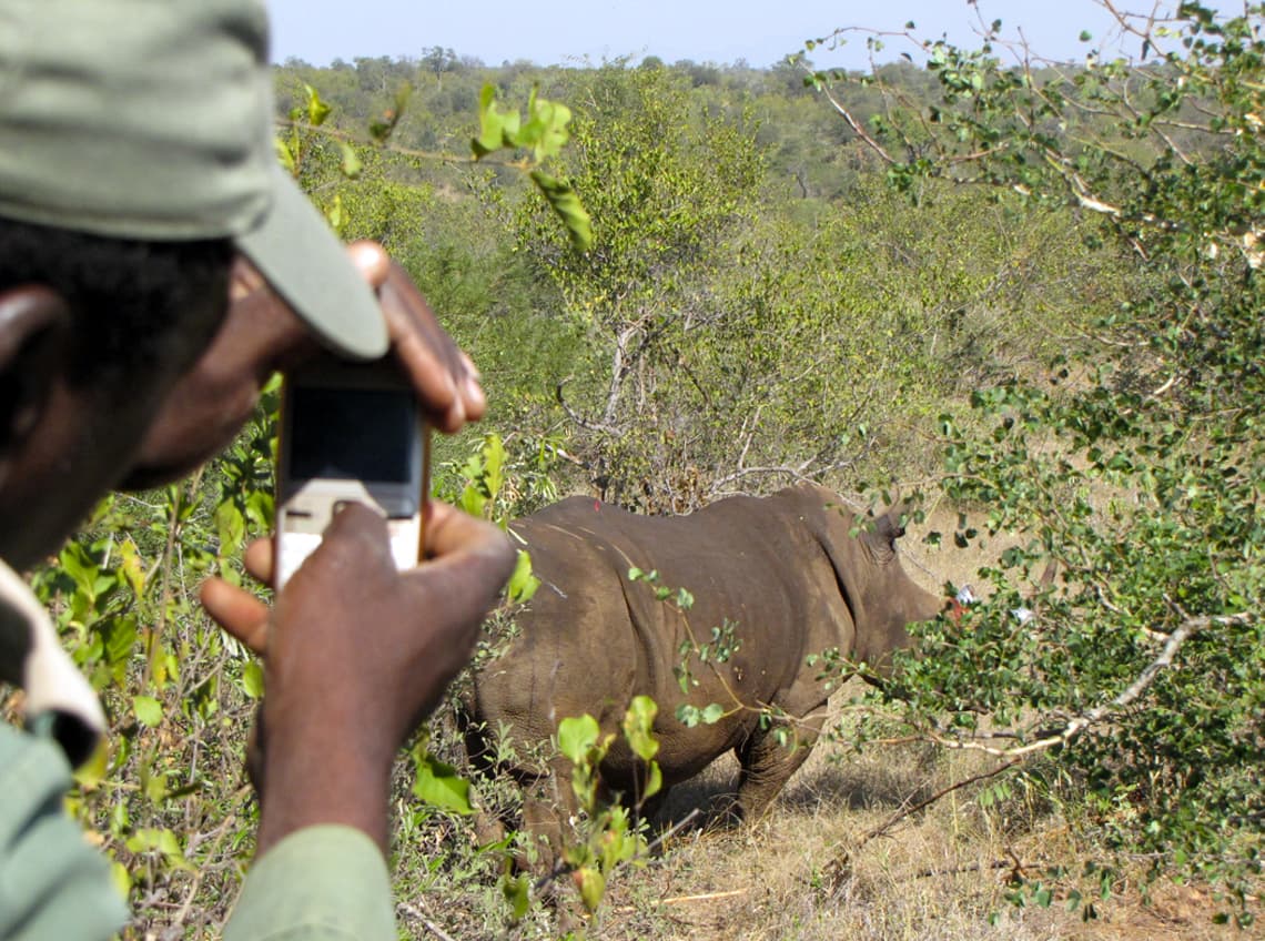 A local takes a photo of Rhino after it has been treated by Rhino Rescue.