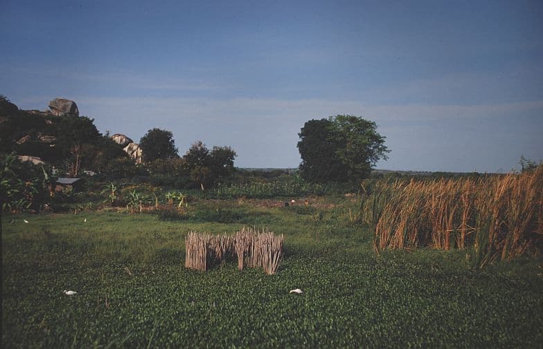 Ukerewe island, Tanzania.