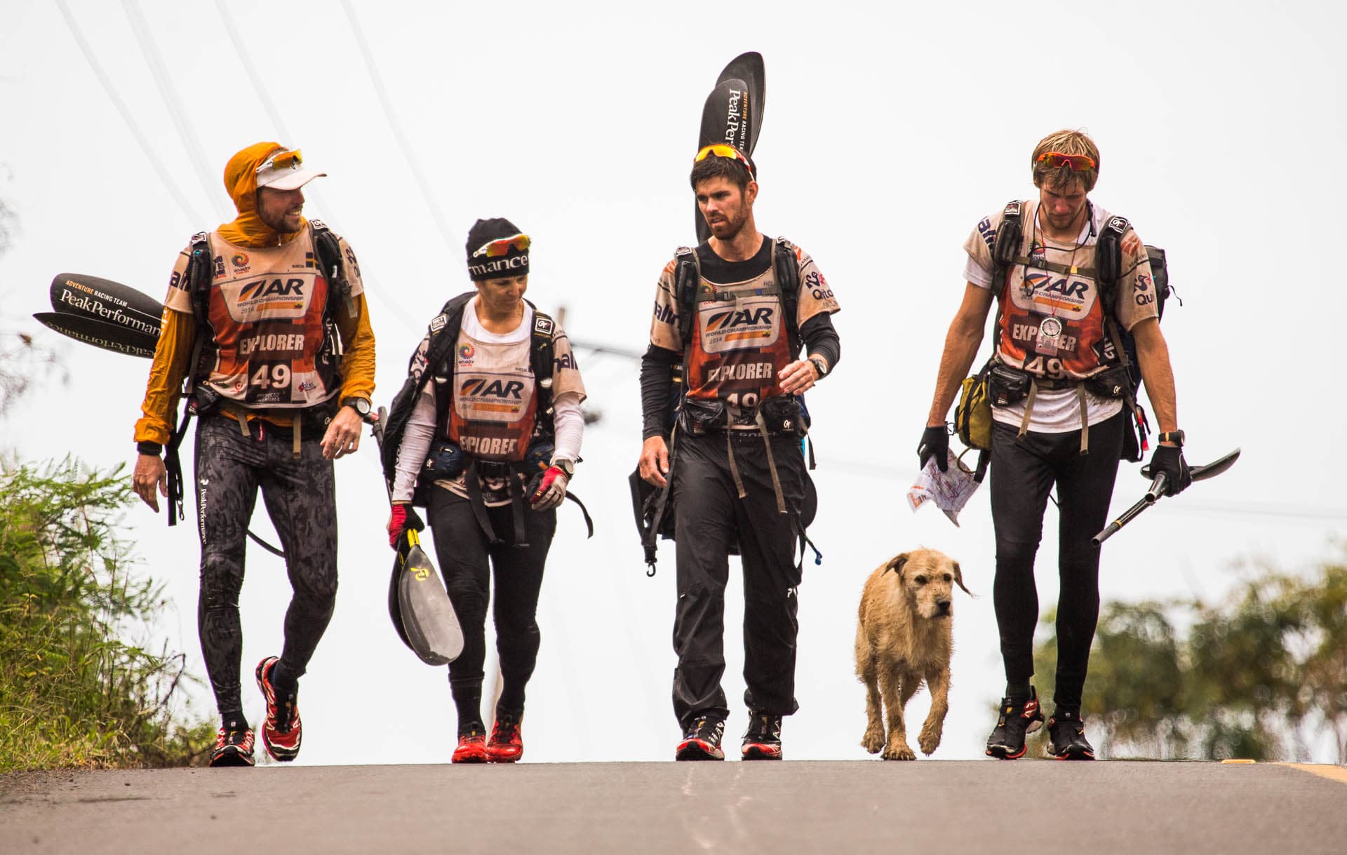 Team Peak Performance walks with stray dog Arthur during a stage of the 430-mile Adventure Racing World Championship.