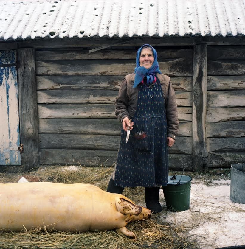 Woman with slaughtered pig