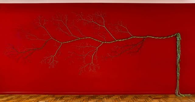 Fractal on a red wall