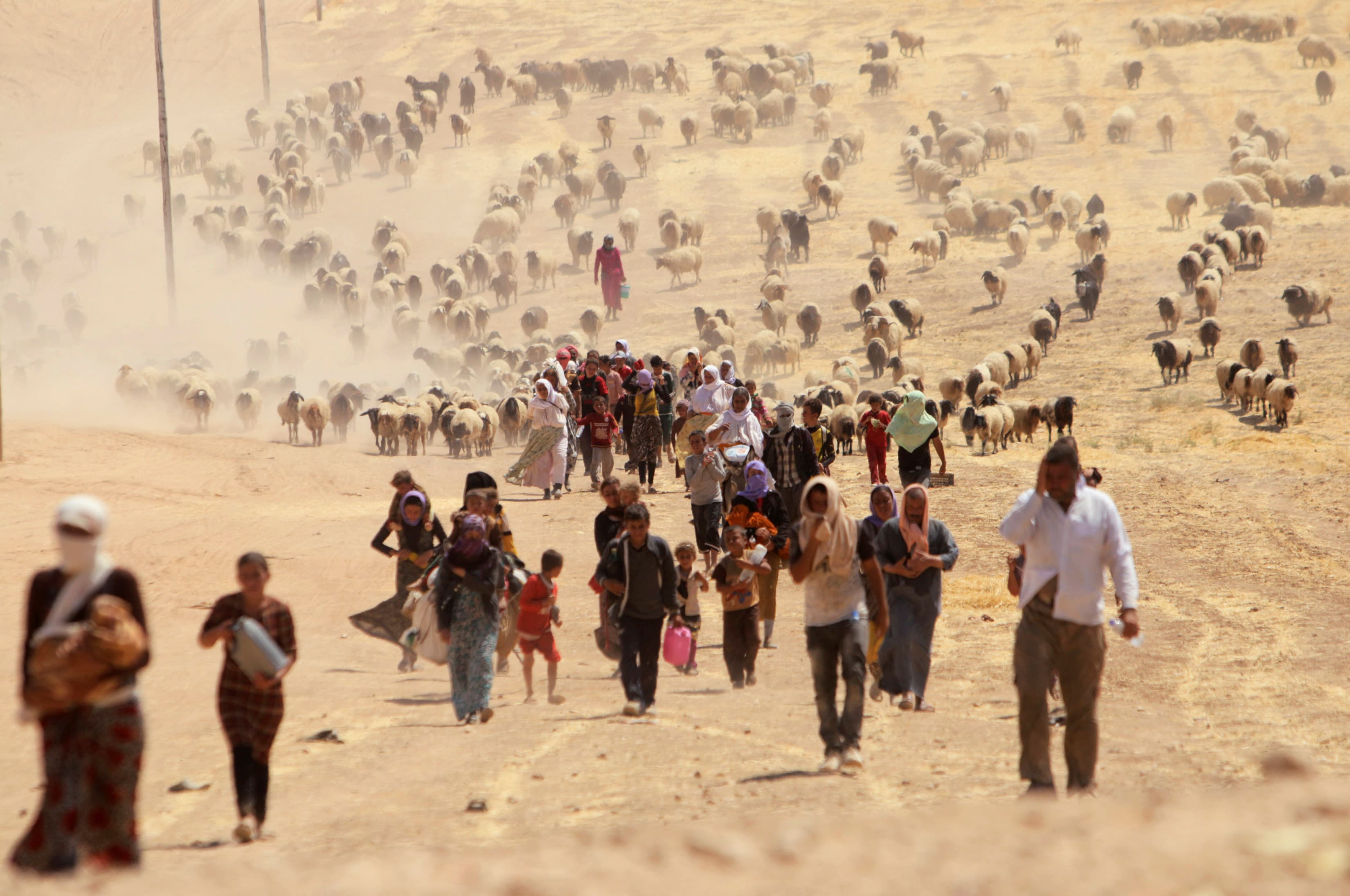 Displaced Yazidis fleeing ISIS forces in Sinjar walk toward the Syrian border, Aug. 10, 2014.