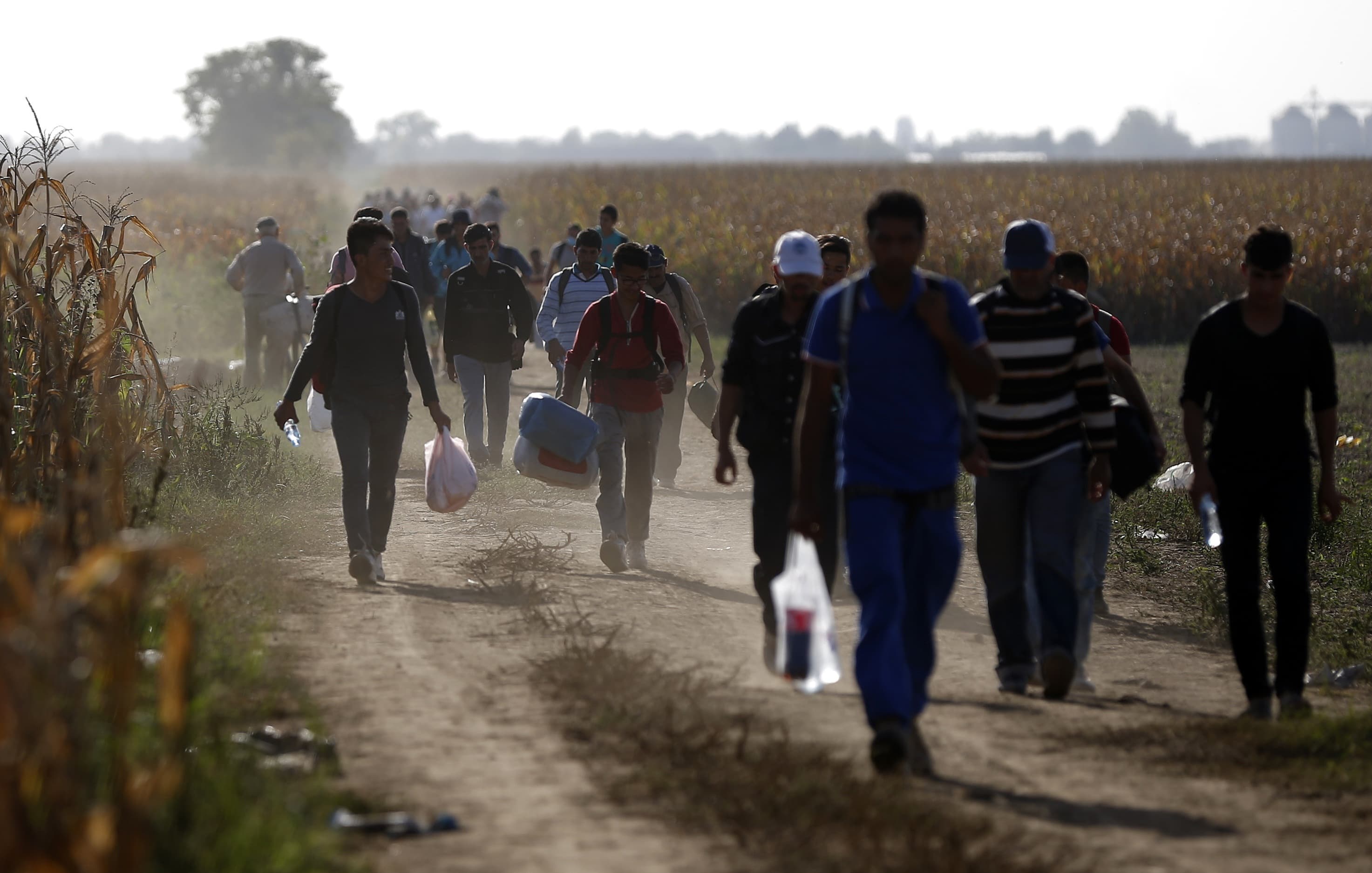 Migrants approach the Croatian border near the town of Sid, Serbia, Sept. 18, 2015.
