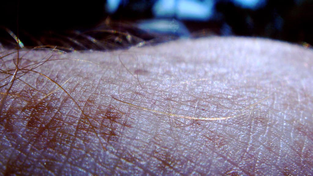 Karl Koehler, a researcher at the Indiana University School of Medicine, says that skin is underappreciated because of its complexity.